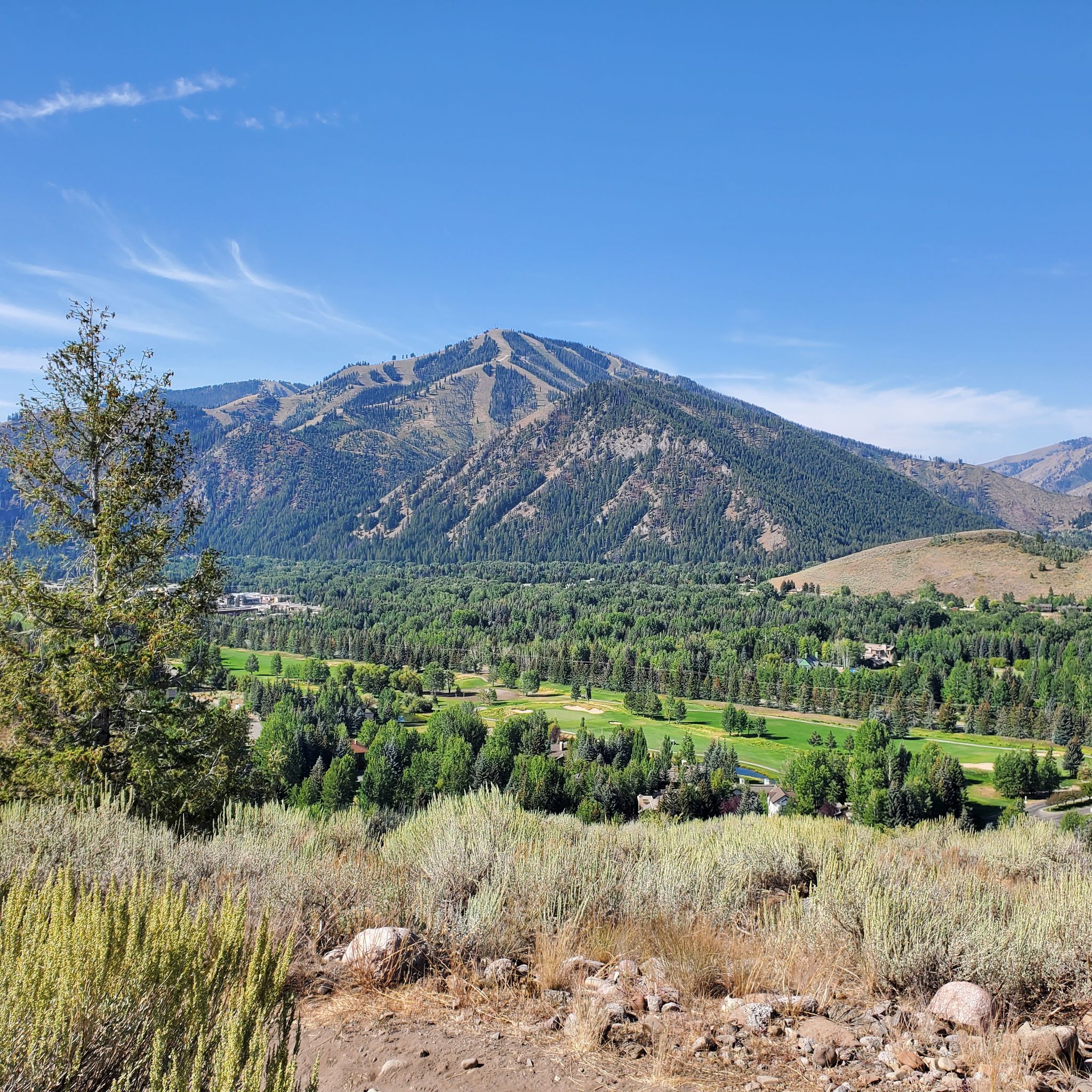 Sunny mountain view over a green valley, forest, and golf course. - Hemingway Memorial – Corral Creek loop from Sun Valley