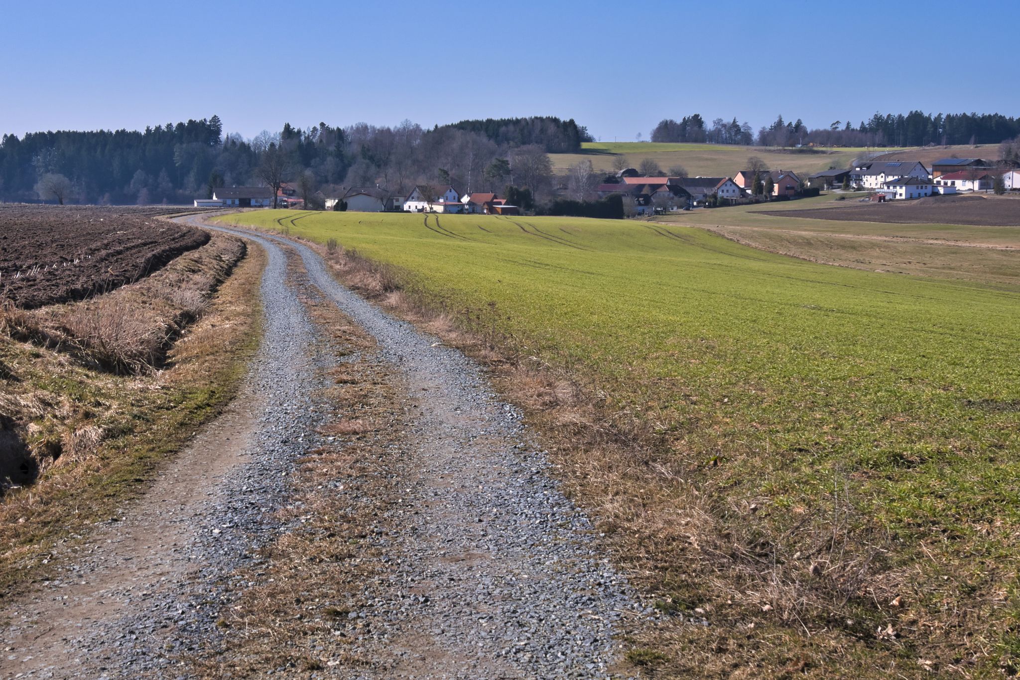 Rückweg nach Konradsreuth