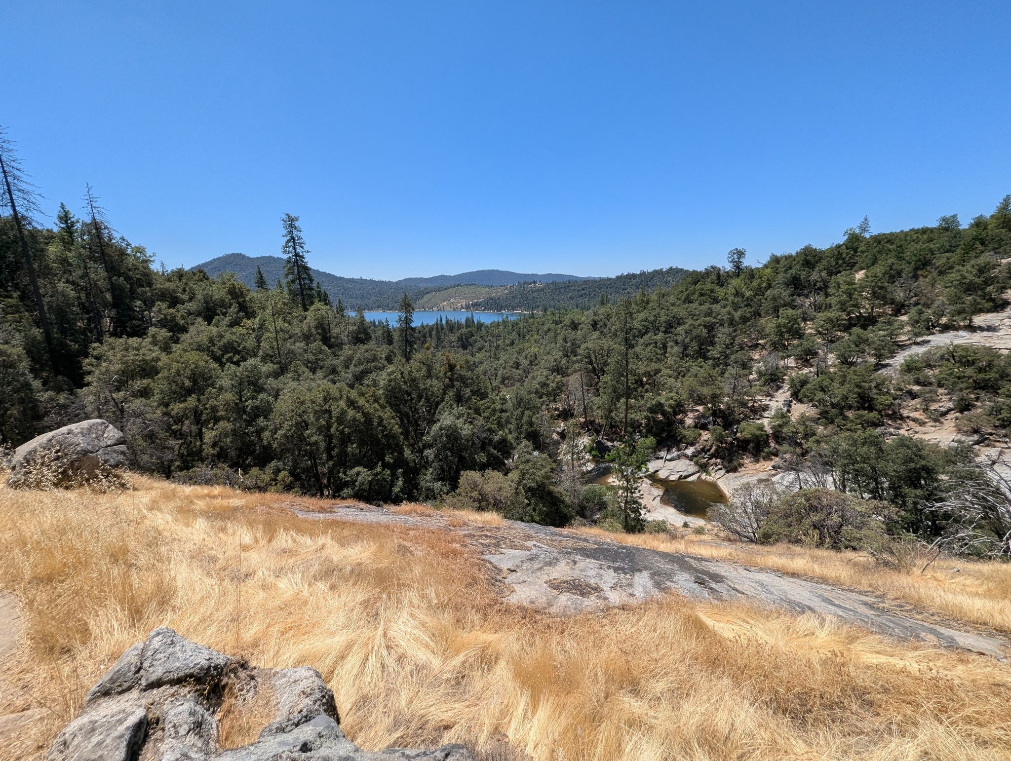 Sunny panoramic view of a vast forest and distant lake under blue sky. - Angel Falls and McCleod Flat Loop