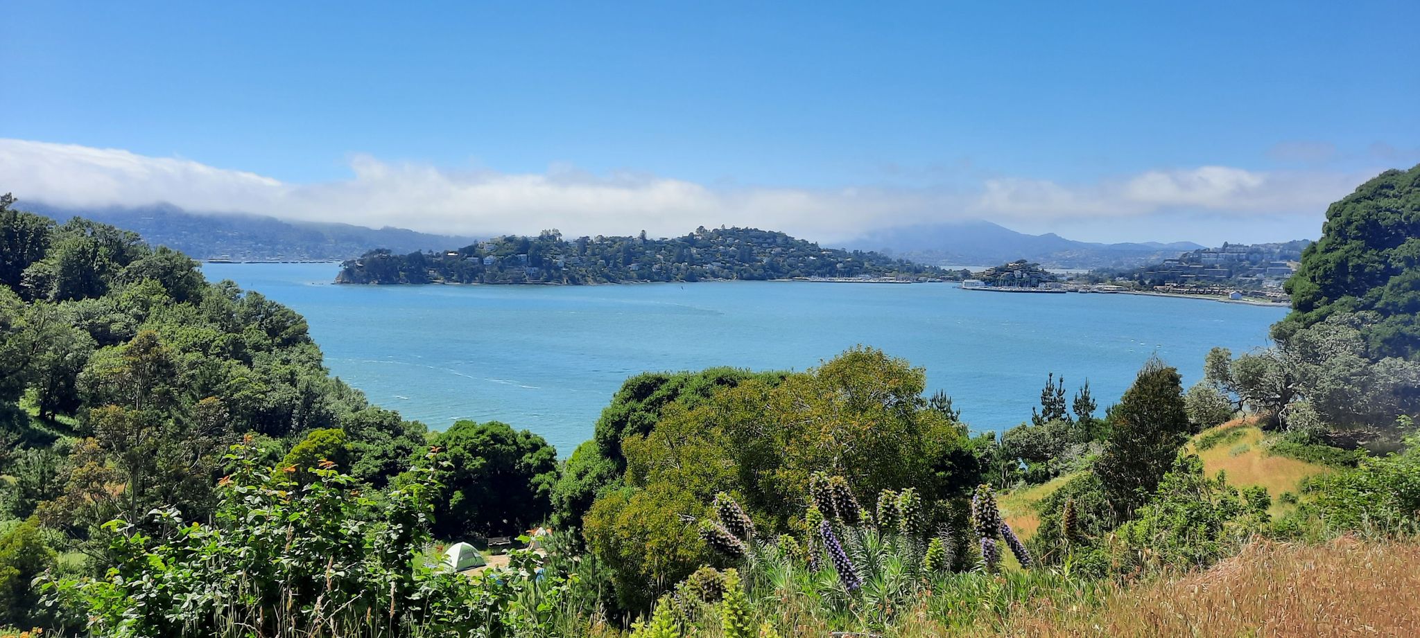 Sunny panoramic view of a blue bay, wooded islands, and green hills. - Angel Island Perimeter Road