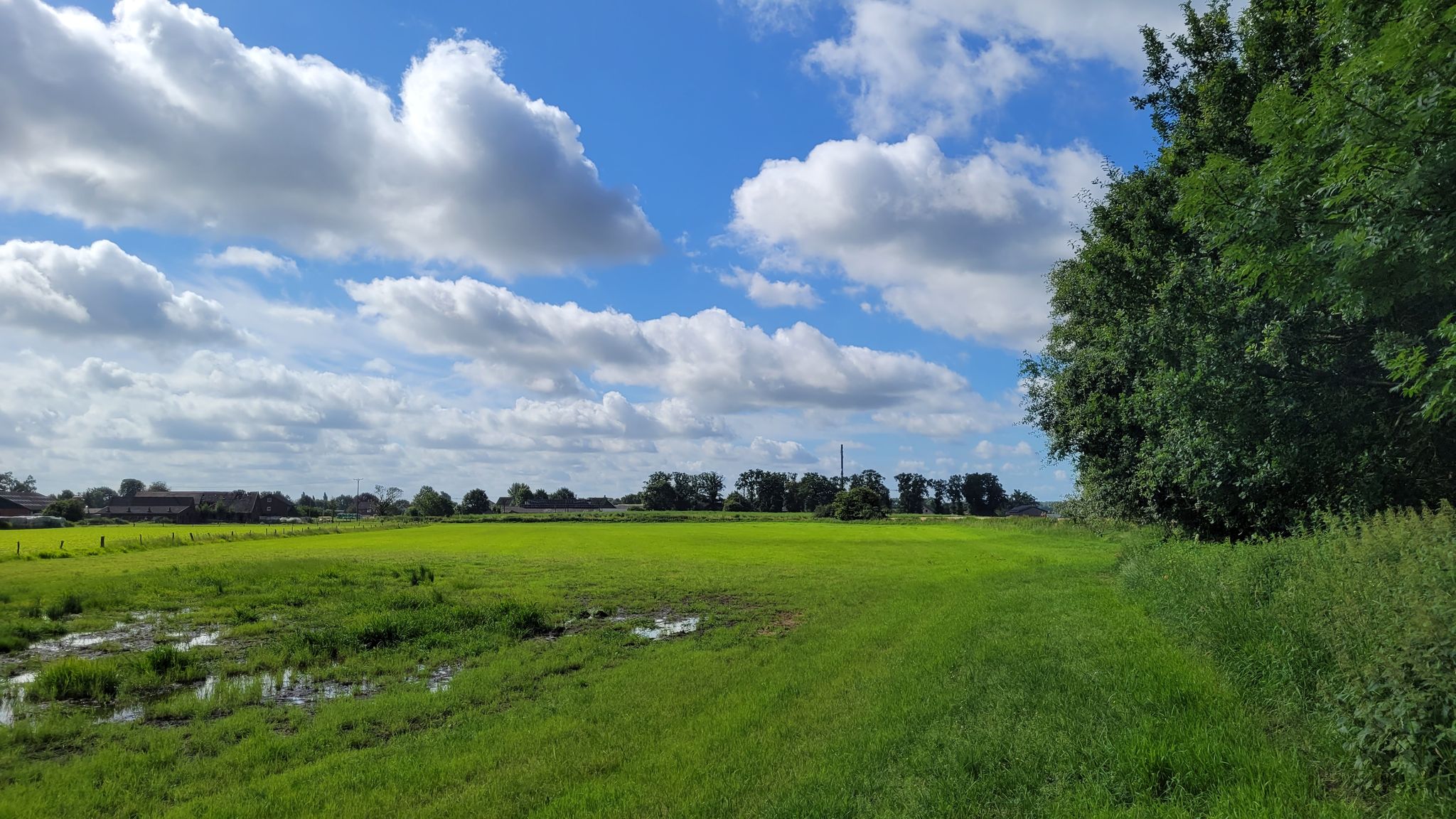 um euch die "Hochzeit" zu zeigen, muss ich über diese Wiese gehen