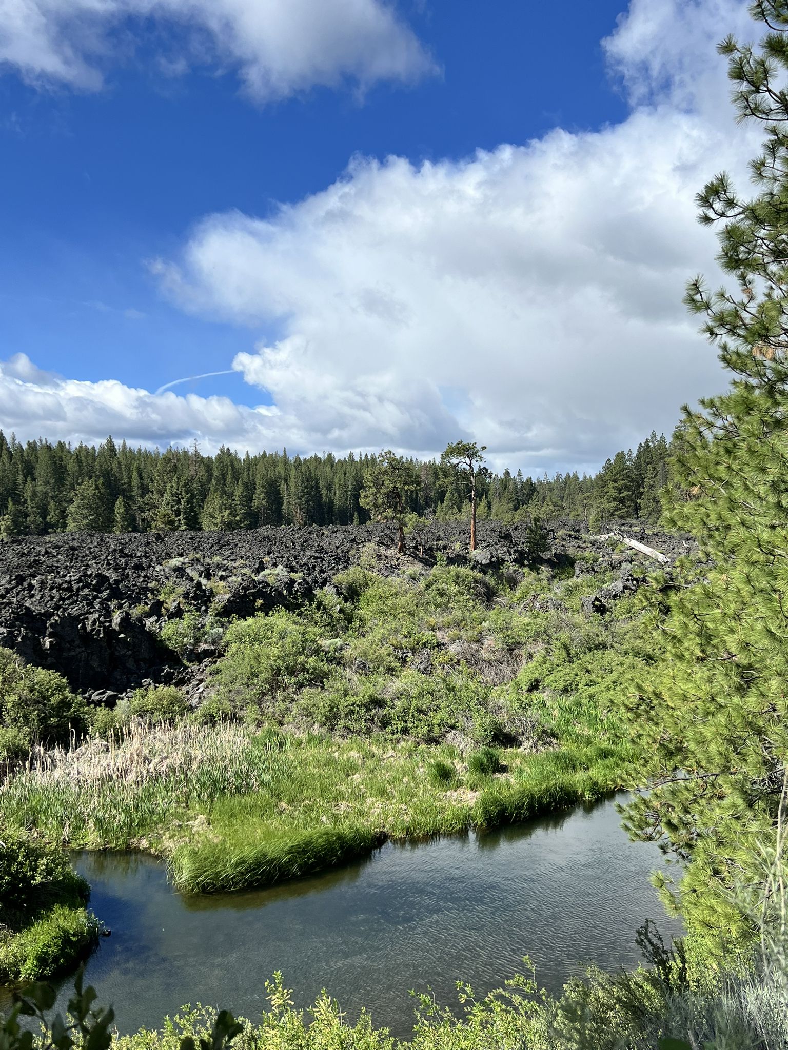 Small pond with reeds, dark rocky hills, and a dense pine forest. - Cascade Lake Welcome Station loop from Meadow Day Use Area