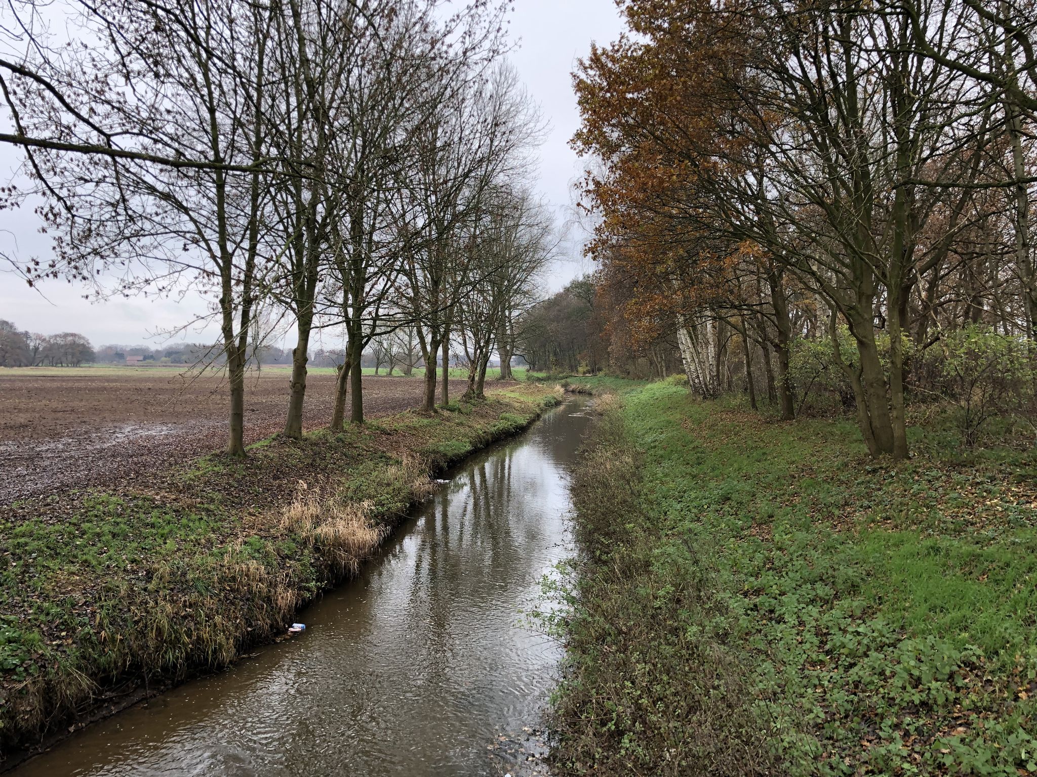 Blick nach rechts