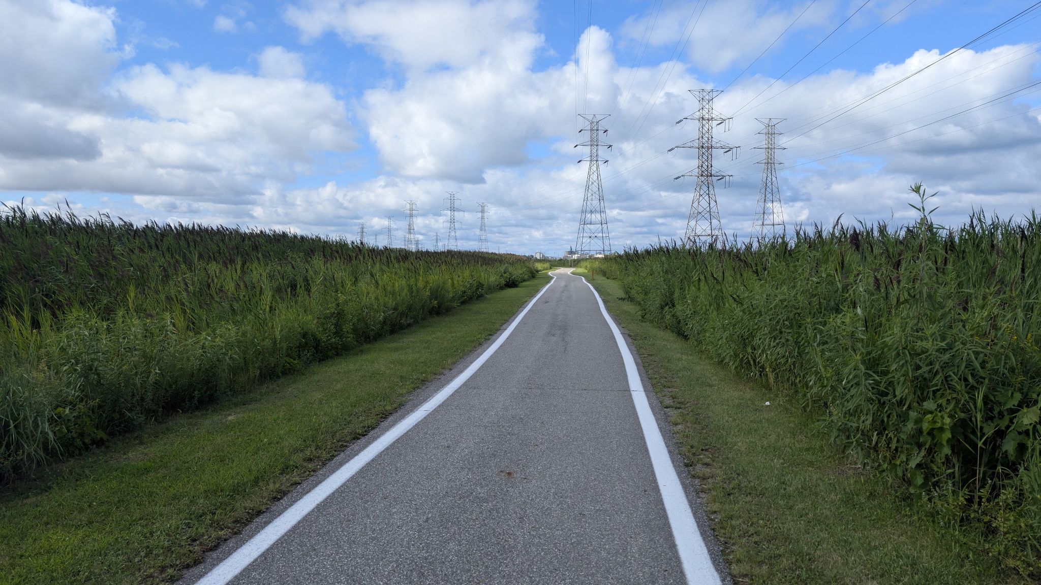 Paved path through tall green grass with power lines under a cloudy sky. - Wolf Lake Trail