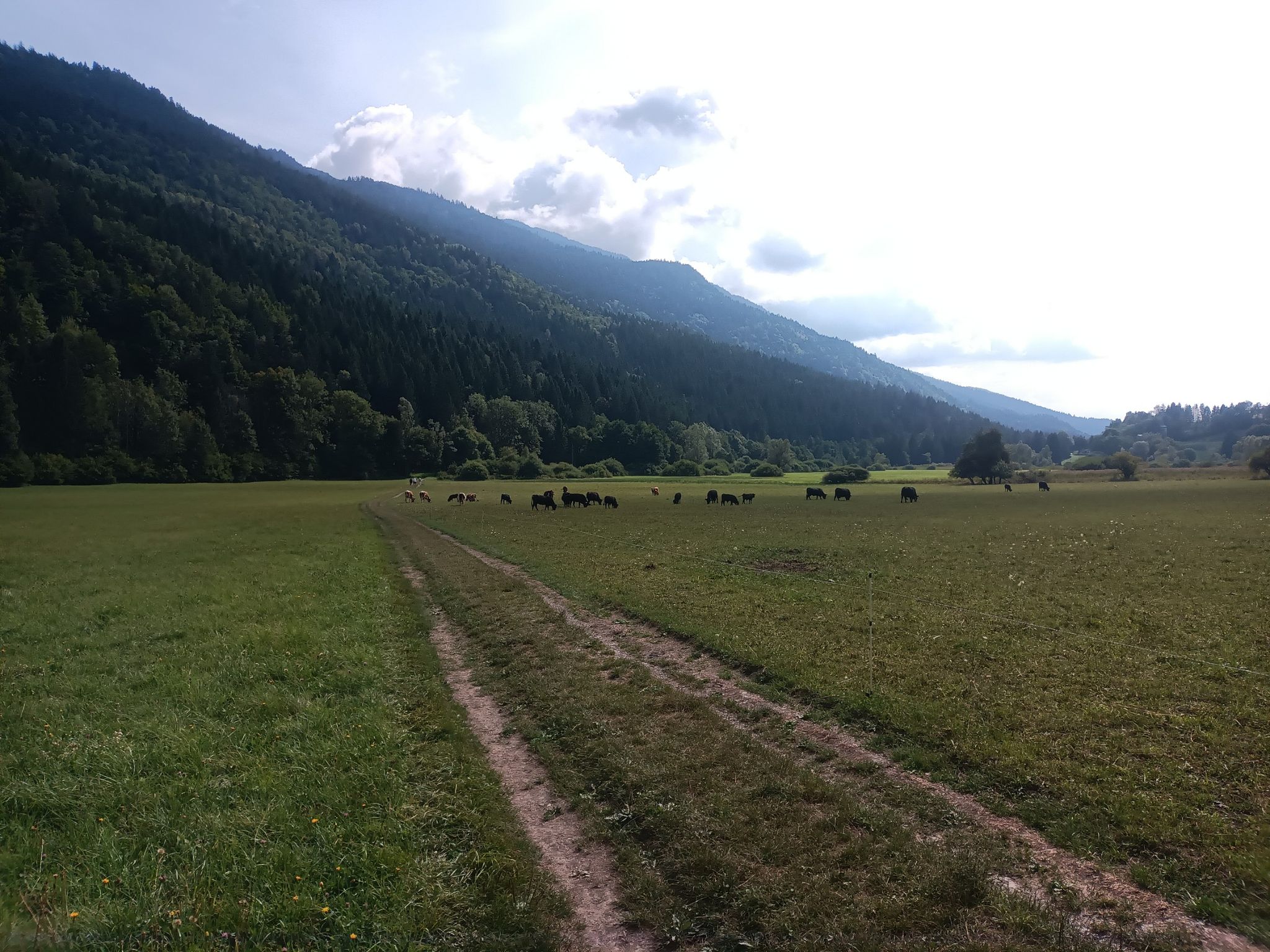 Retour dans la vallée, nous étions là haut où se trouve les nuages