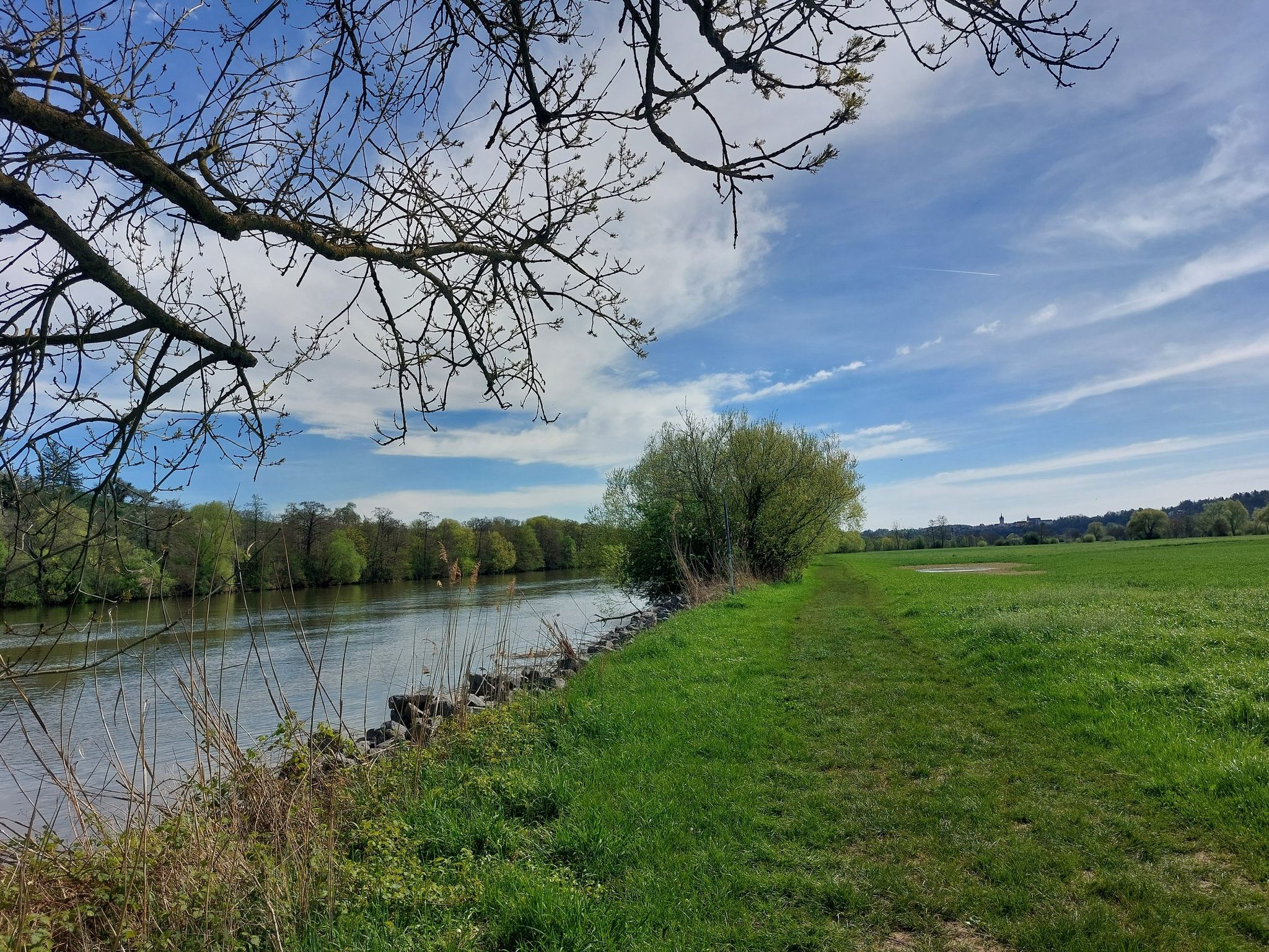 Am Neckar gehts lang