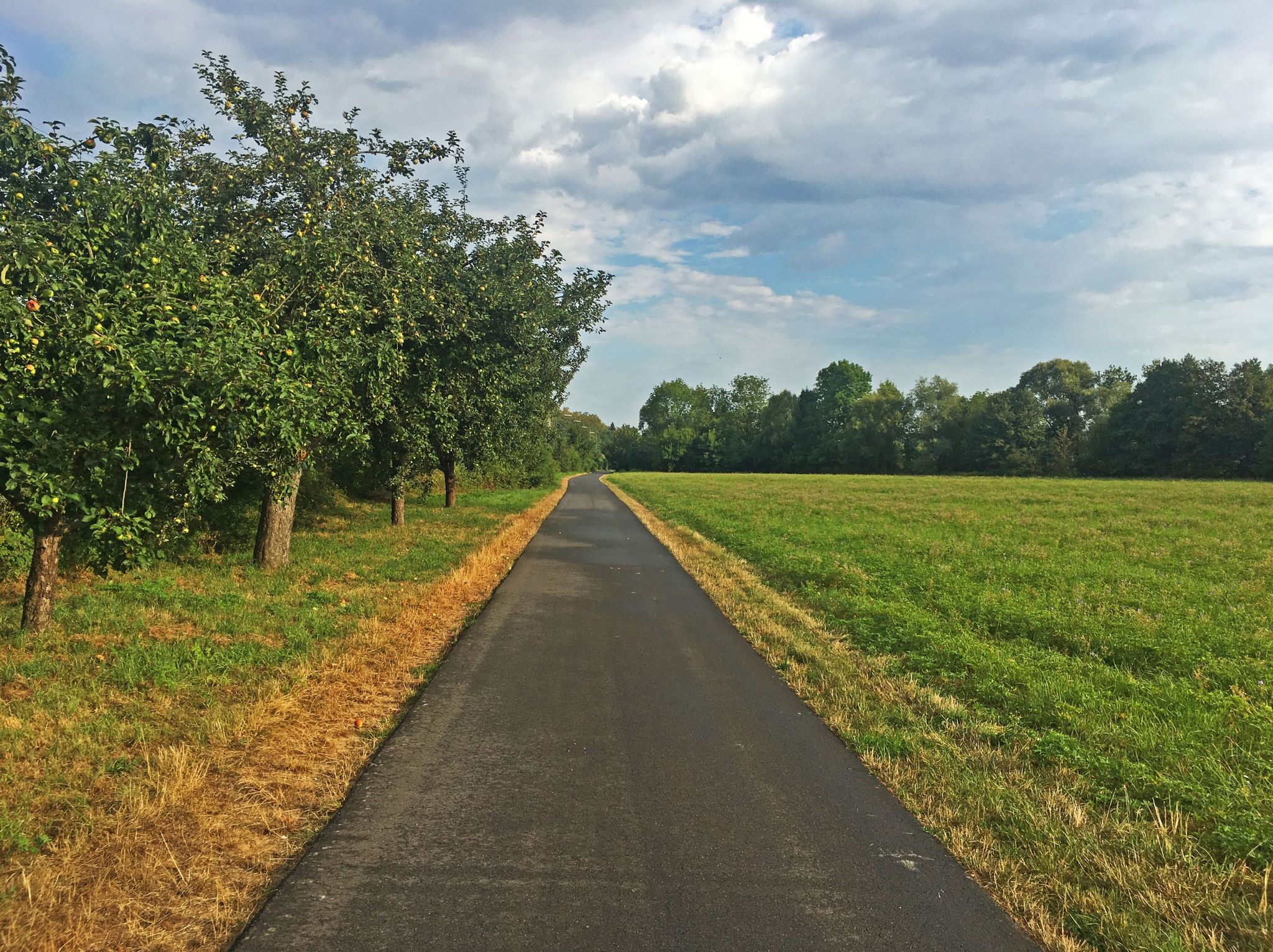 Radweg entlang der Tauber bei Königshofen