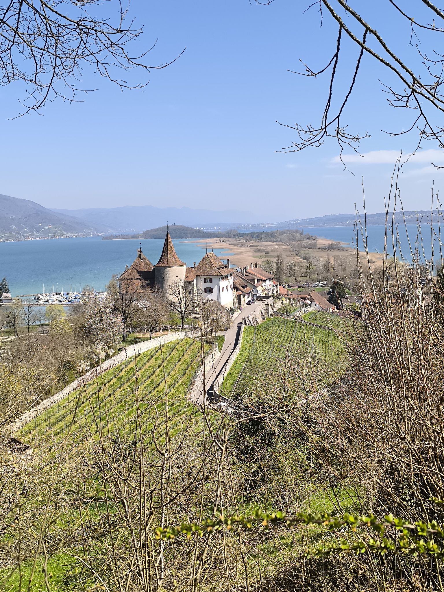 Erlach