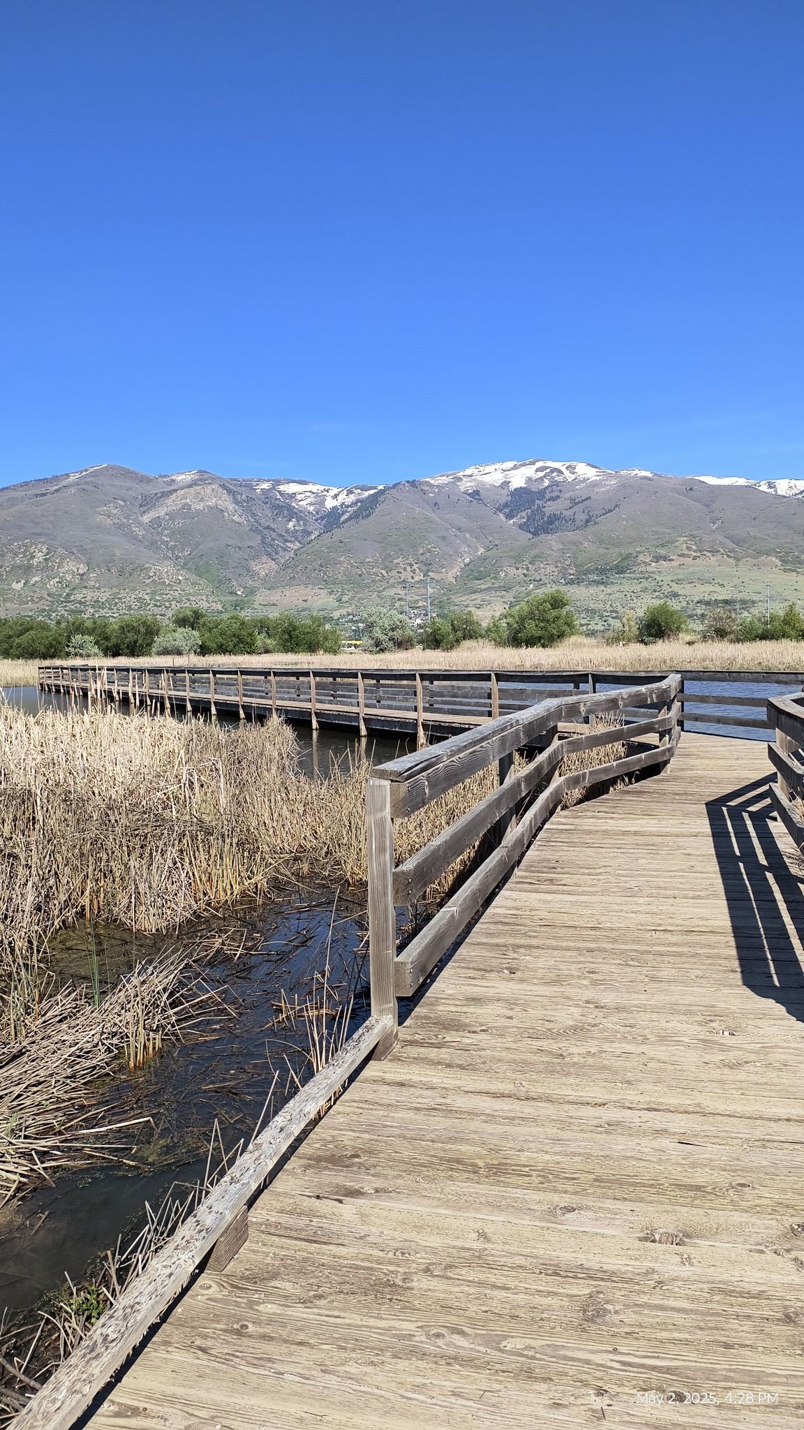 Wooden boardwalk over water and reeds, with distant snowy mountains, clear sky. - Robert N. Hasenyager Great Salt Lake Nature Trail