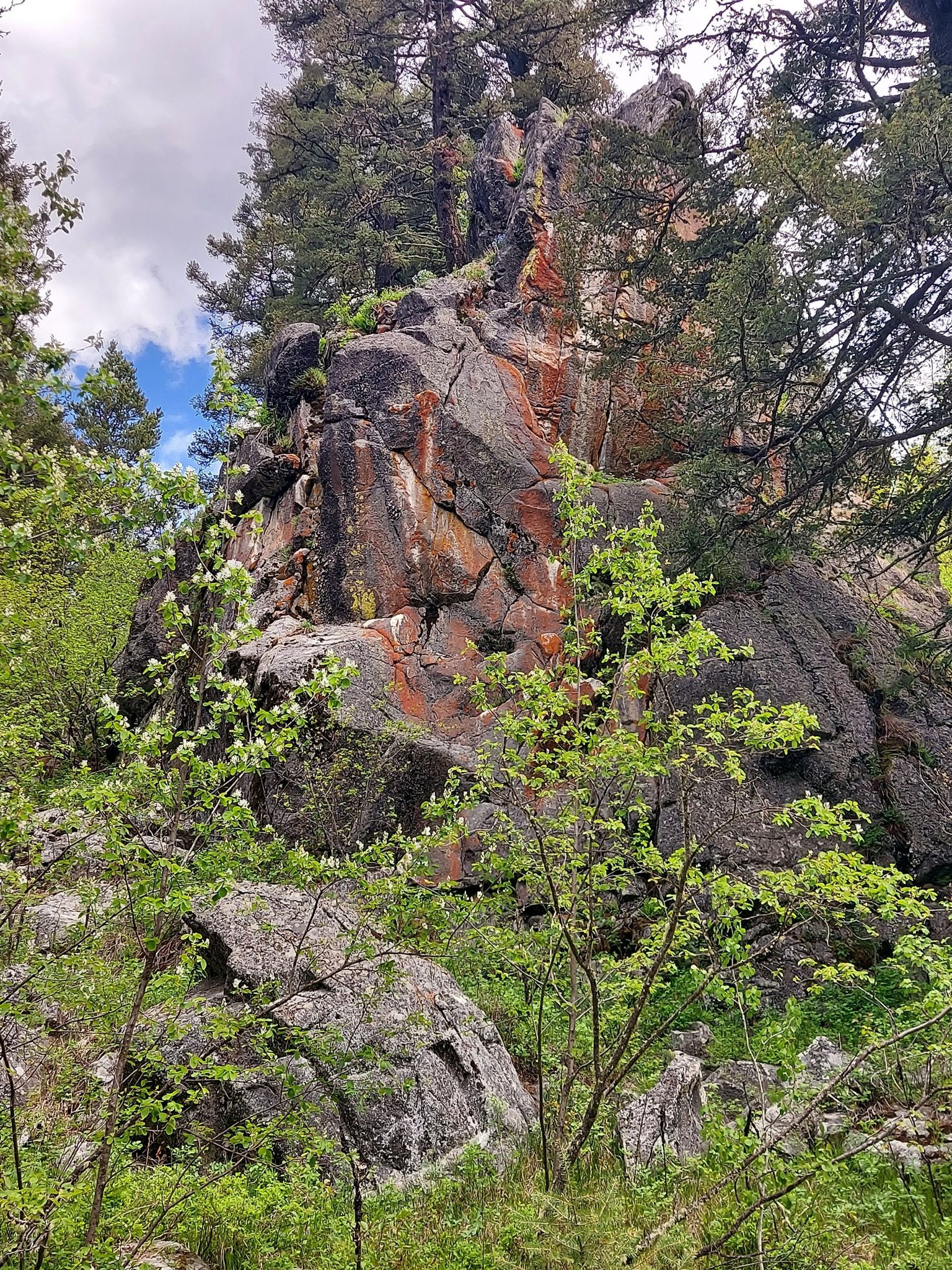 A large, colorful rock formation covered with trees and green foliage. - Museum of the Rockies – Sourdough Trail Grafs Park loop from Bozeman