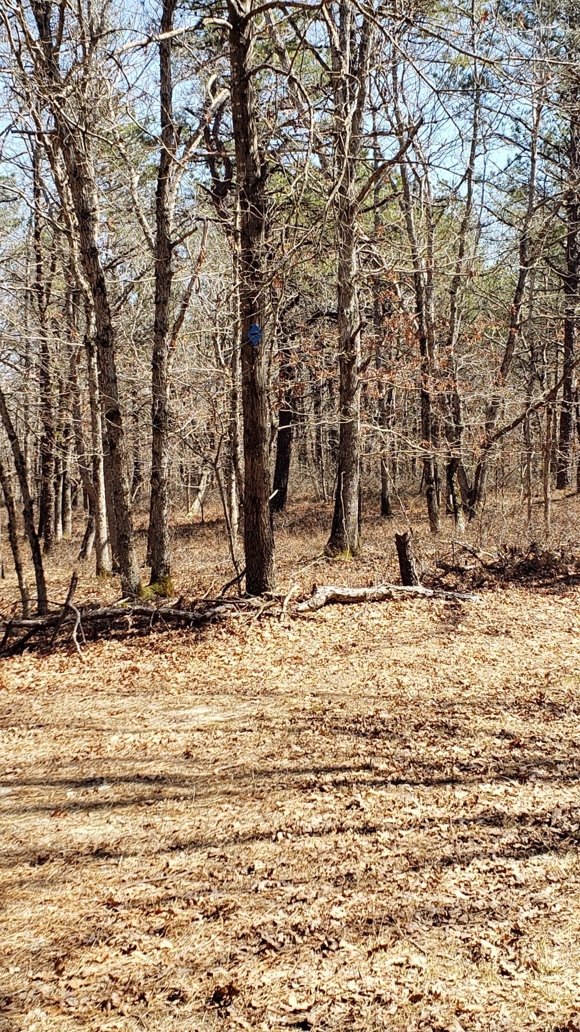 Trail marker.