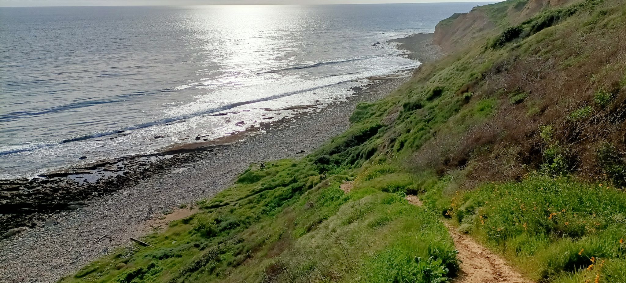 Steep green cliffside trail overlooking a sunny, rocky beach and ocean. - Trump National Golf Club loop from Rancho Palos Verdes