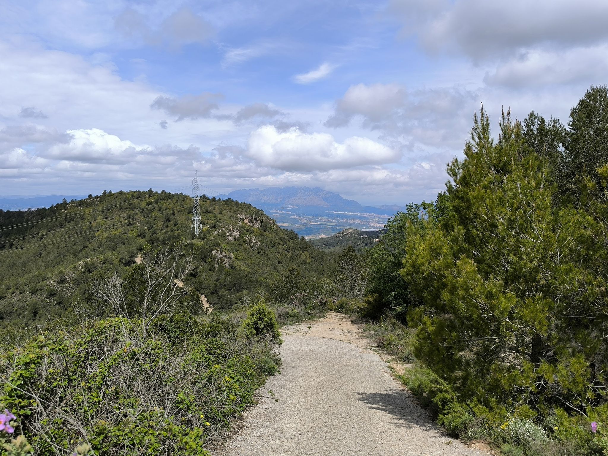 Montserrat de fons