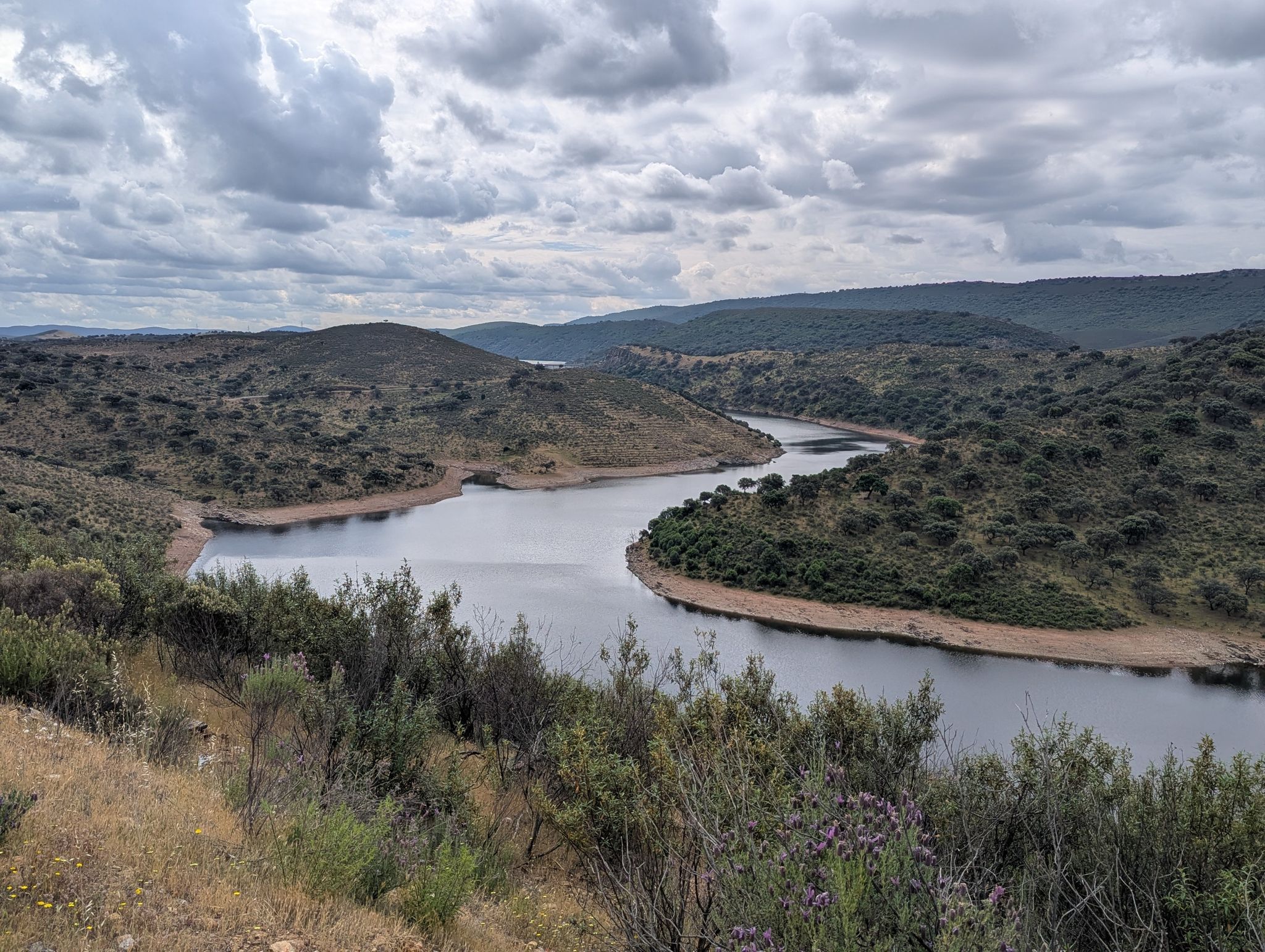 Embalse Torrejón-Tiétar. P.N. Monfragüe.