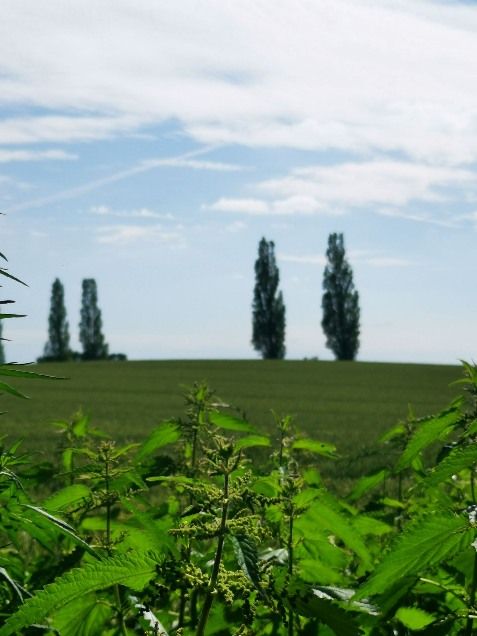 Toskana im Kreis Segeberg