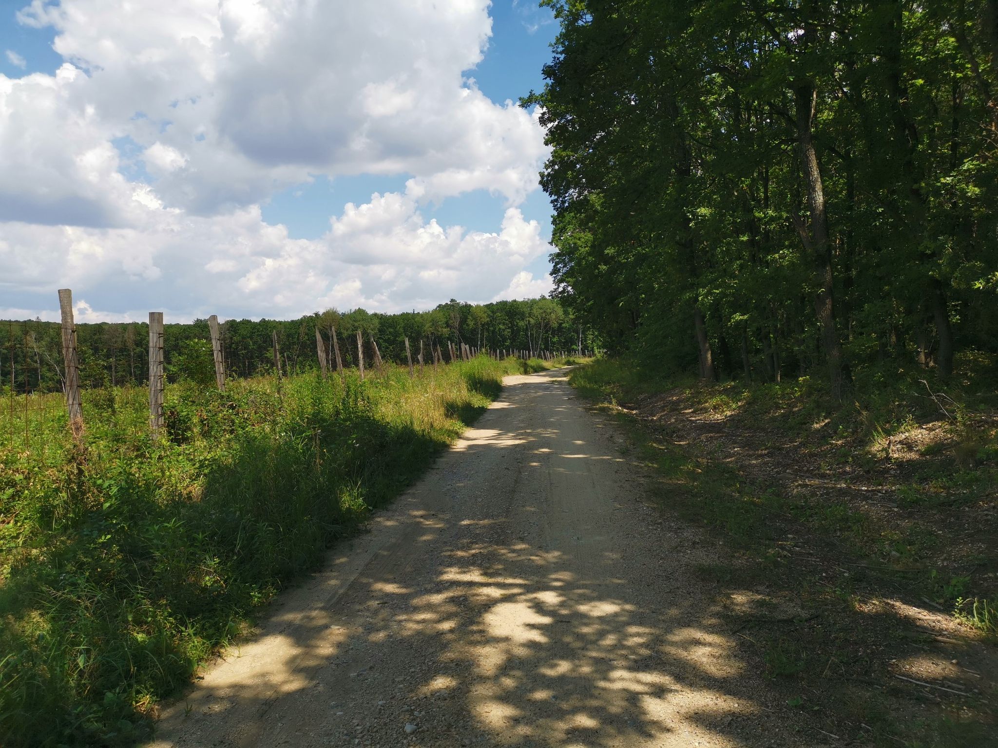 Durch das Ungarische Grenzland