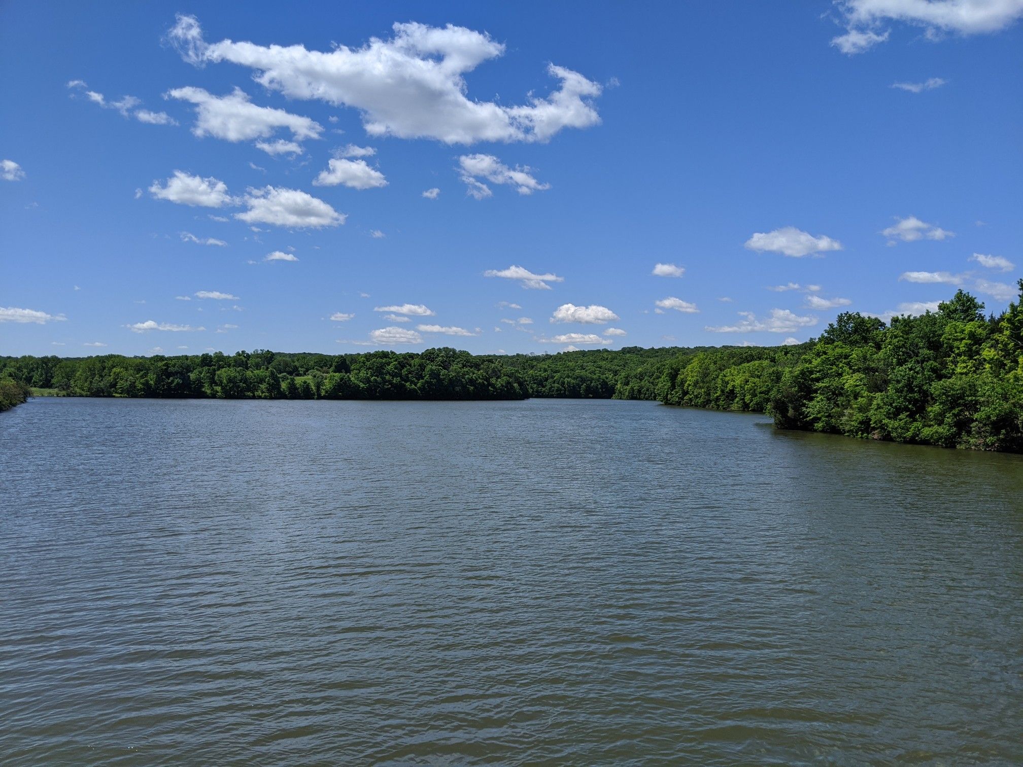 Wide lake surrounded by green trees under a blue sky with clouds. - Blue, Perkiomen, and Red Trail Loop