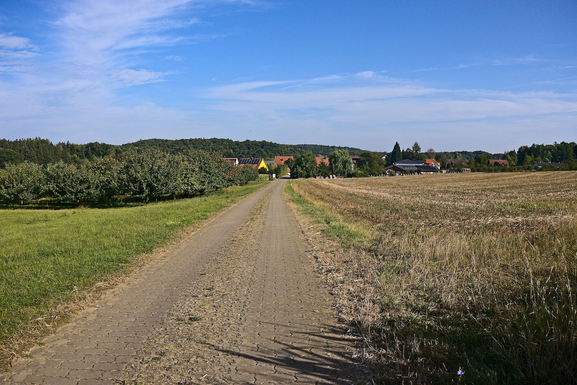 Zufahrt auf Haidhof
