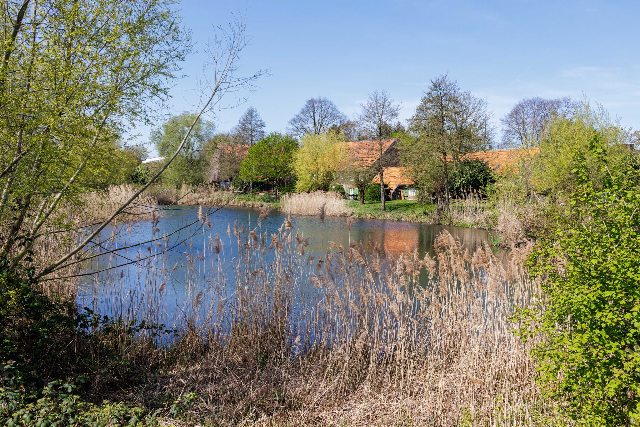 Bongartzmühle mit freigelegtem Teich