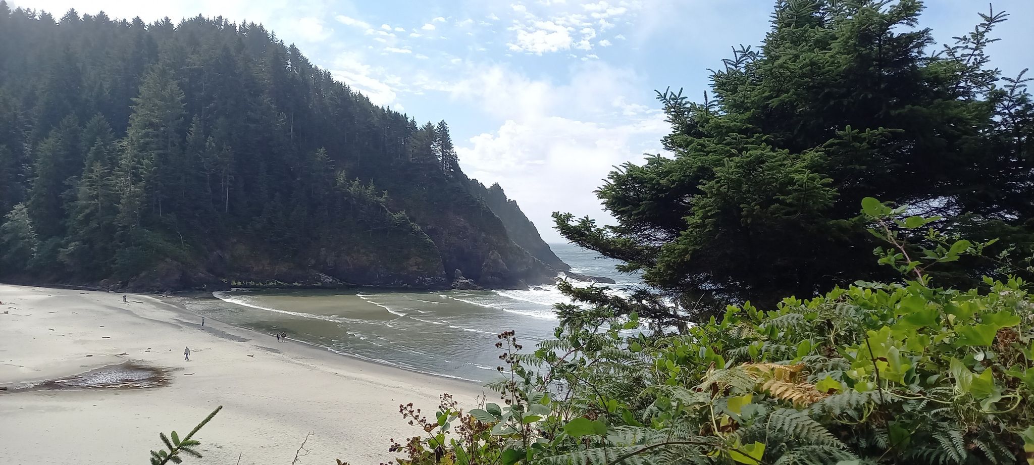 Sandy beach with ocean waves, forested cliffs, and distant people under a bright sky. - Heceta Lighthouse Trail