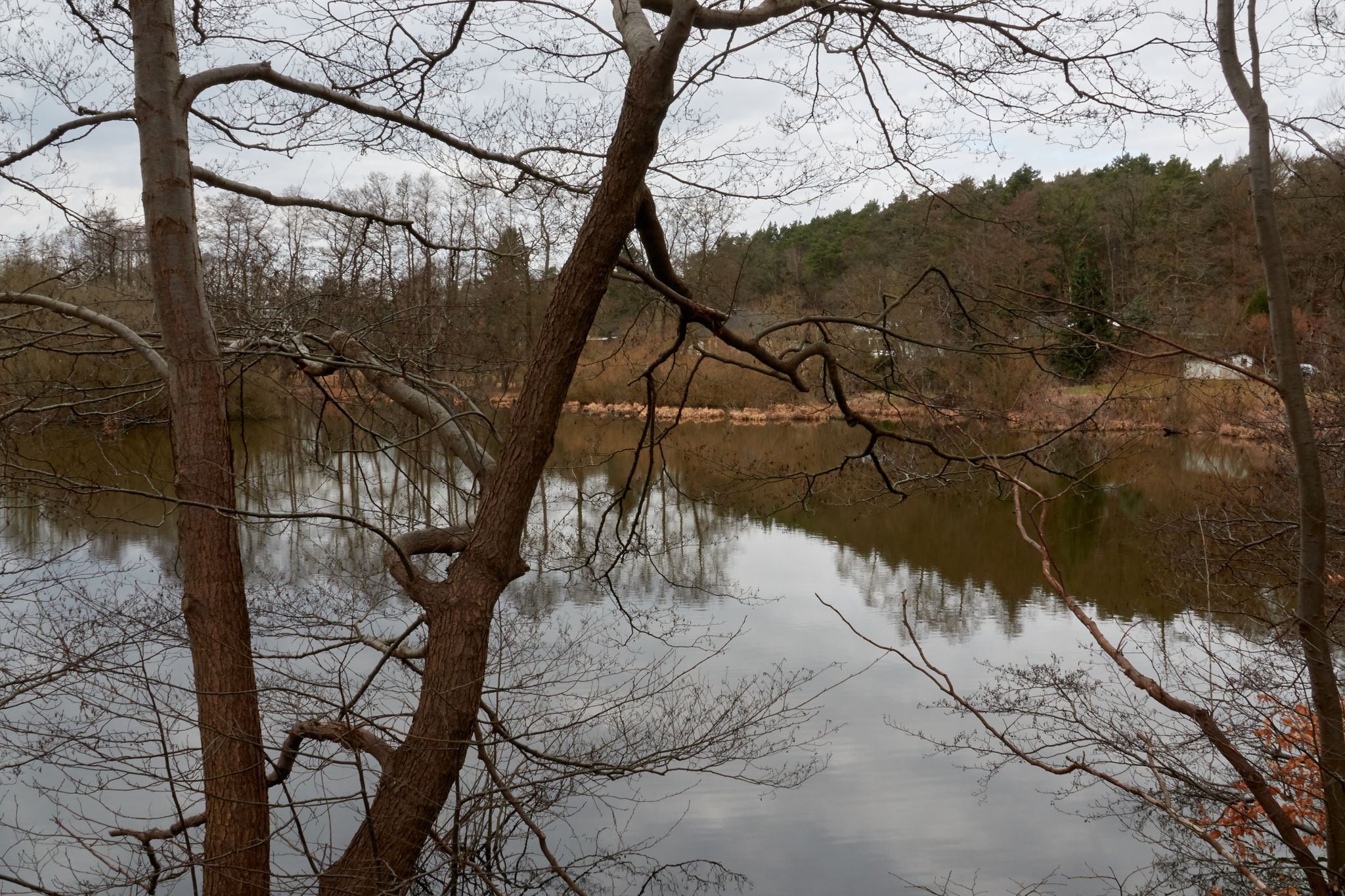 Aufgestauter Teich bei der Hasenburg