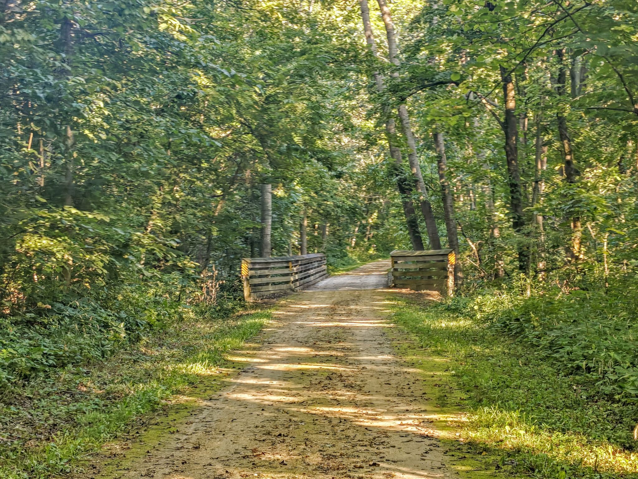 Dirt path leading to a wooden bridge within a green forest. - Indian Castle loop from Blue Mound State Park