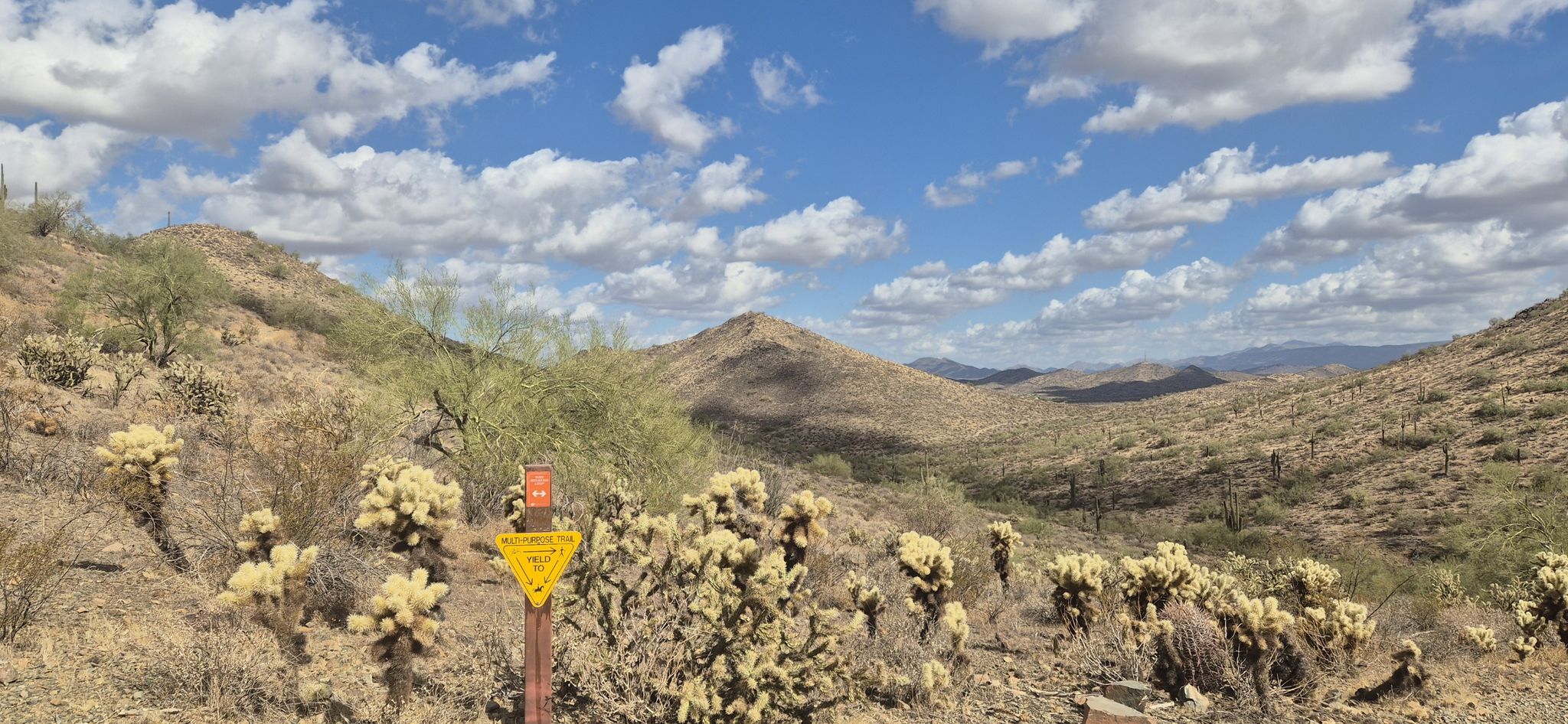 Desert valley with cholla cacti and a trail marker under a cloudy sky. - Union Peak Loop