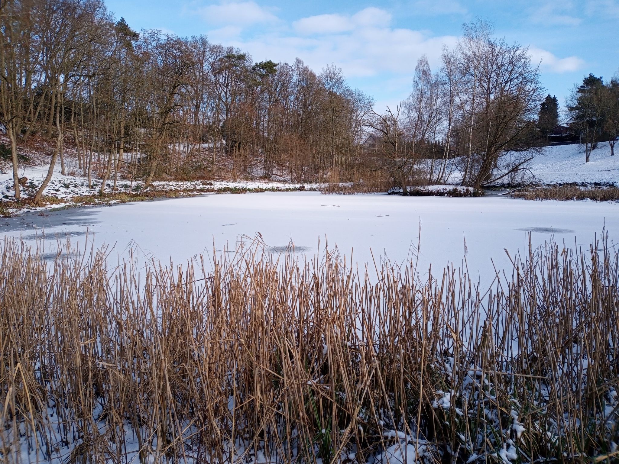 unser Dorfteich