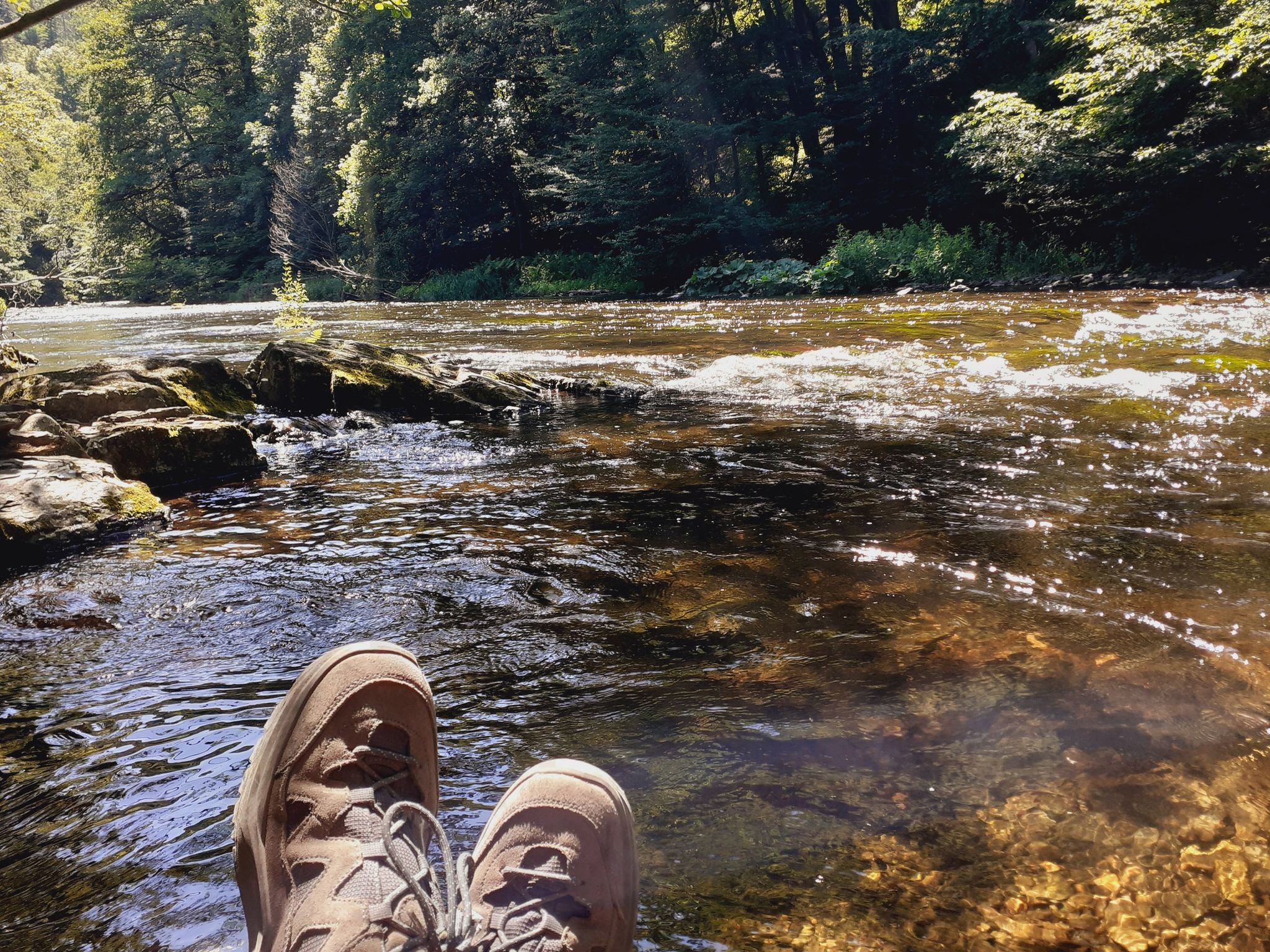 Harzer-Hexen-Stieg - Teil 4: vom Campingplatz Rappbodetalsperre nach  Thale | Wanderung | Komoot