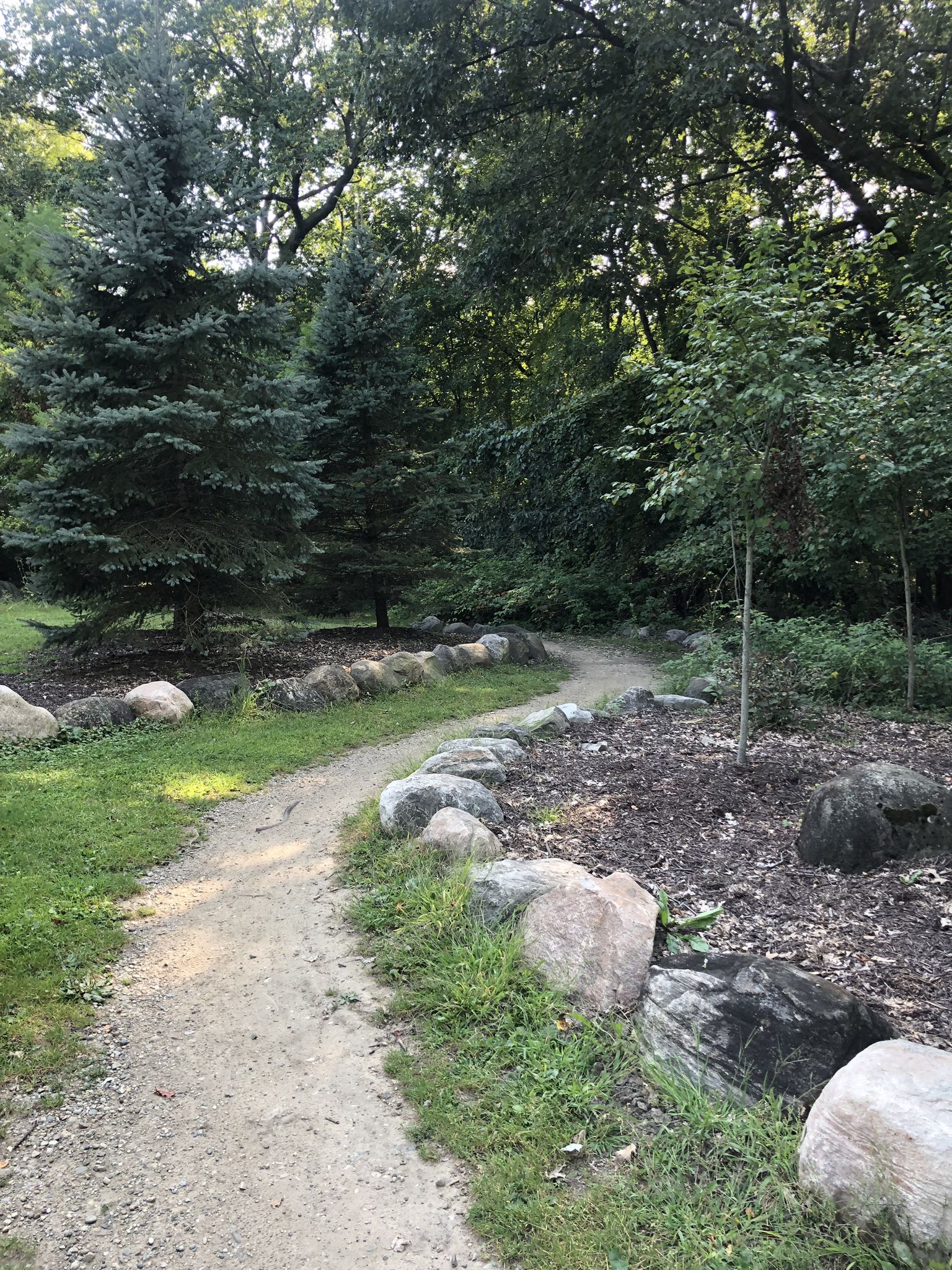 A winding dirt path bordered by large rocks and trees in dappled sunlight. - Running loop from Twelve Oaks Mall