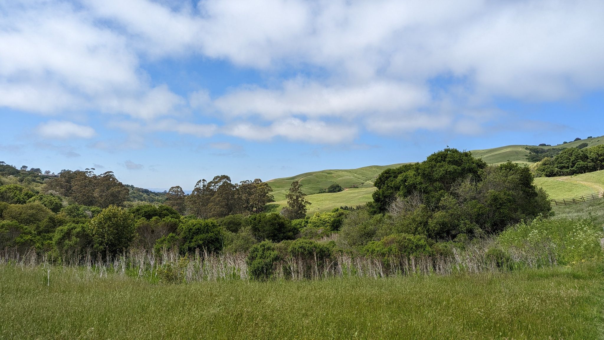 Green grassy field with trees and rolling hills under a cloudy sky. - Wildcat Creek Trail – Jewel Lake loop from El Cerrito Plaza