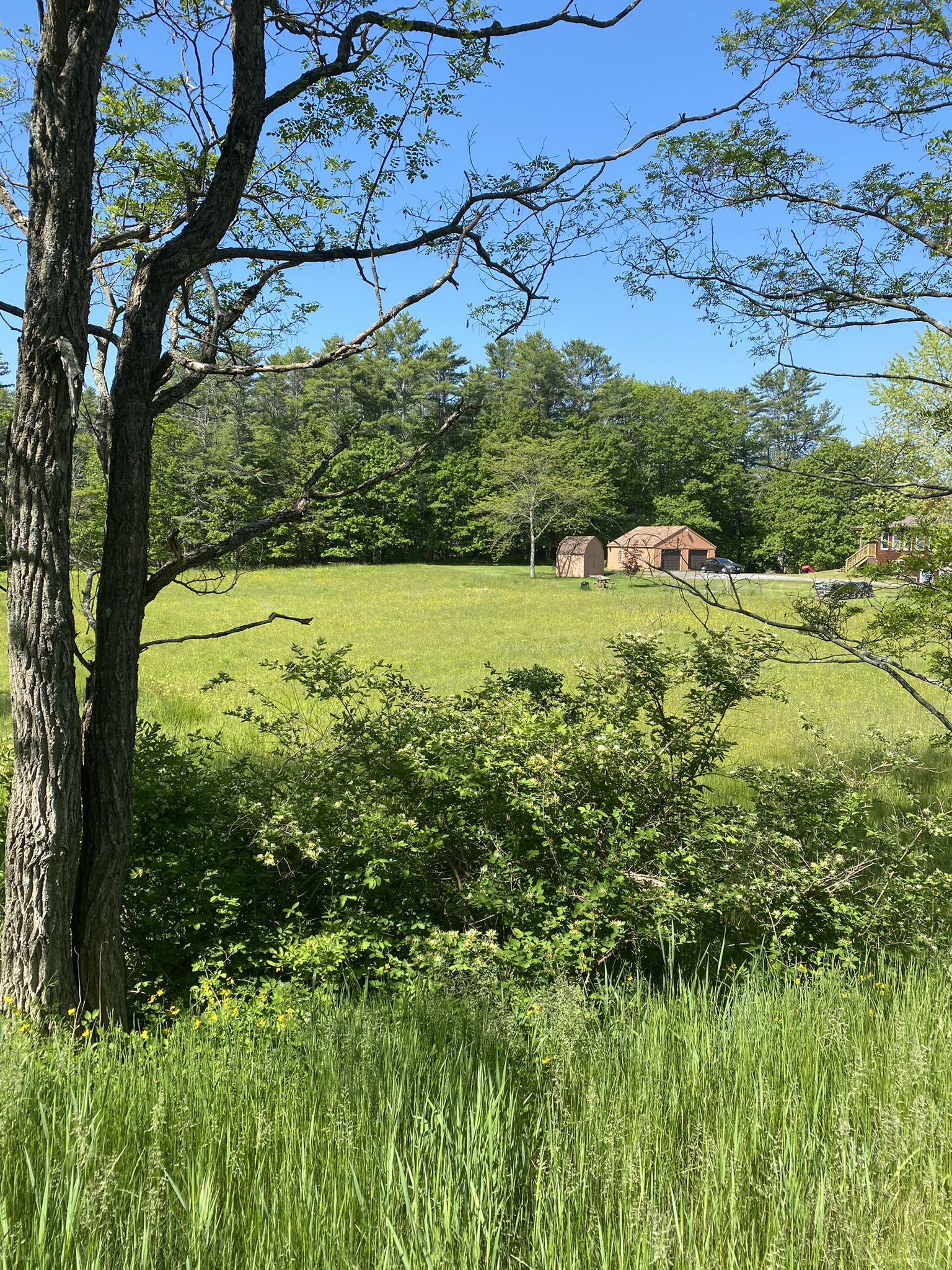 Sunny view of a green field with distant buildings and surrounding trees. - Kelsey Hill – Nice View loop from Freeport