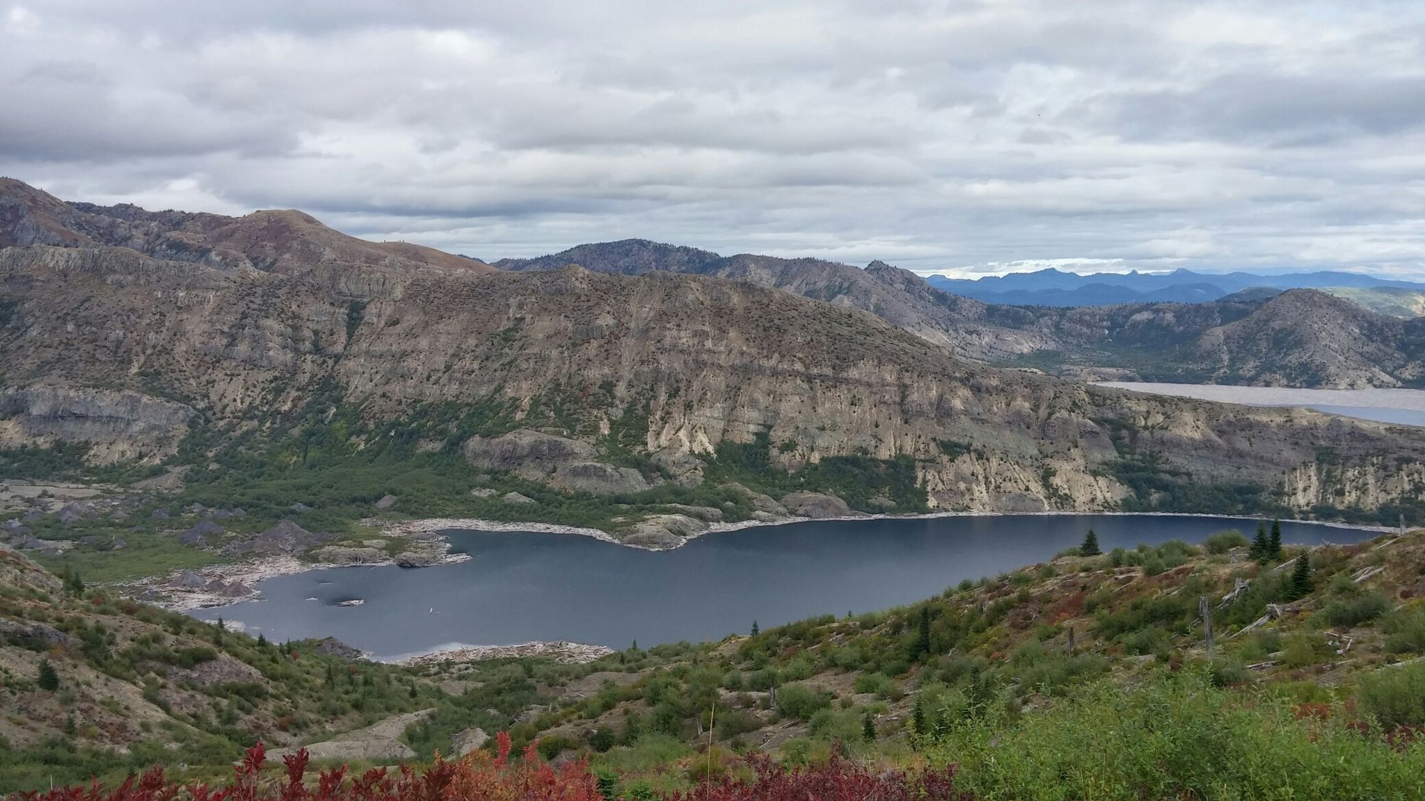 Overcast view of a large lake nestled among rocky, green mountains. - Harry's Ridge Trail