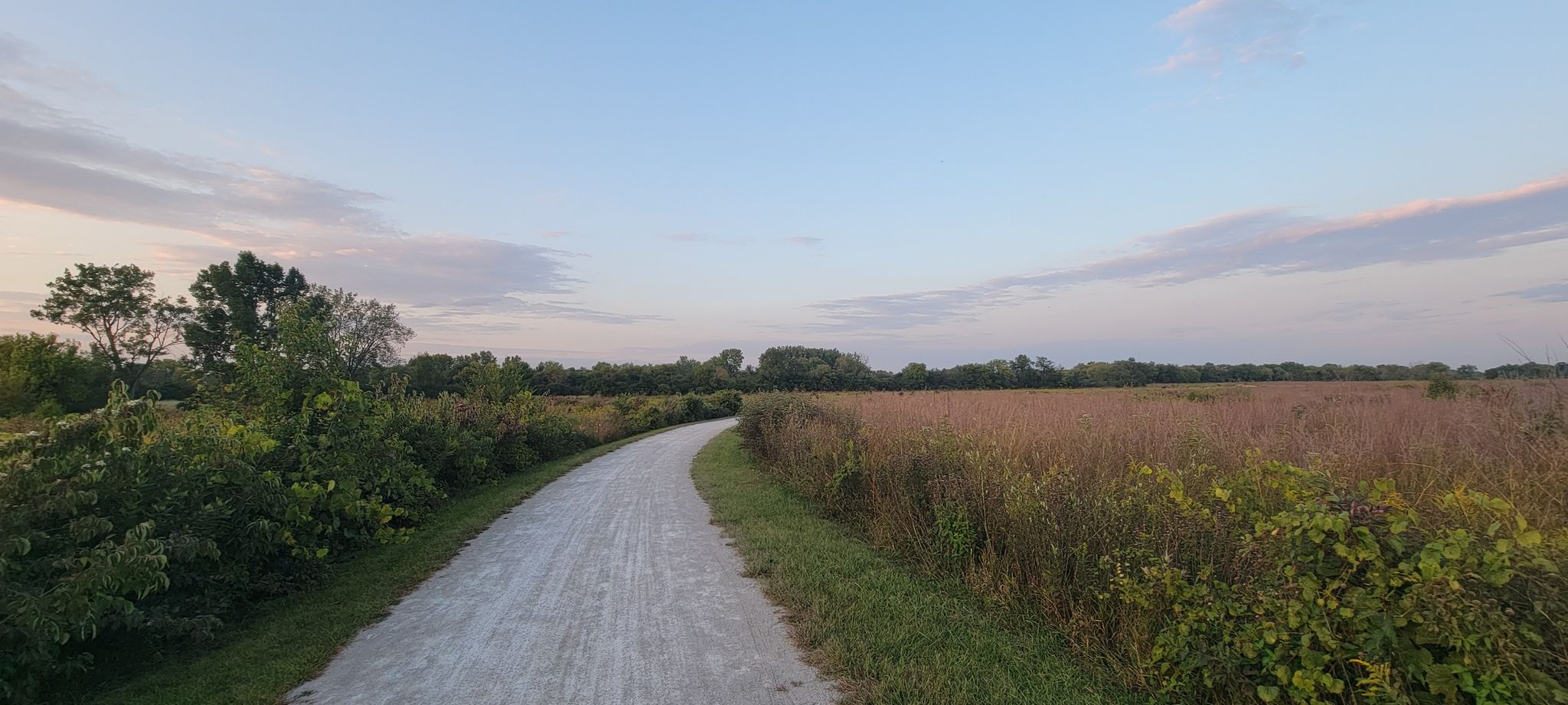 A winding gravel path through tall grasses under a soft evening sky. - Meadowlark Trail Loop