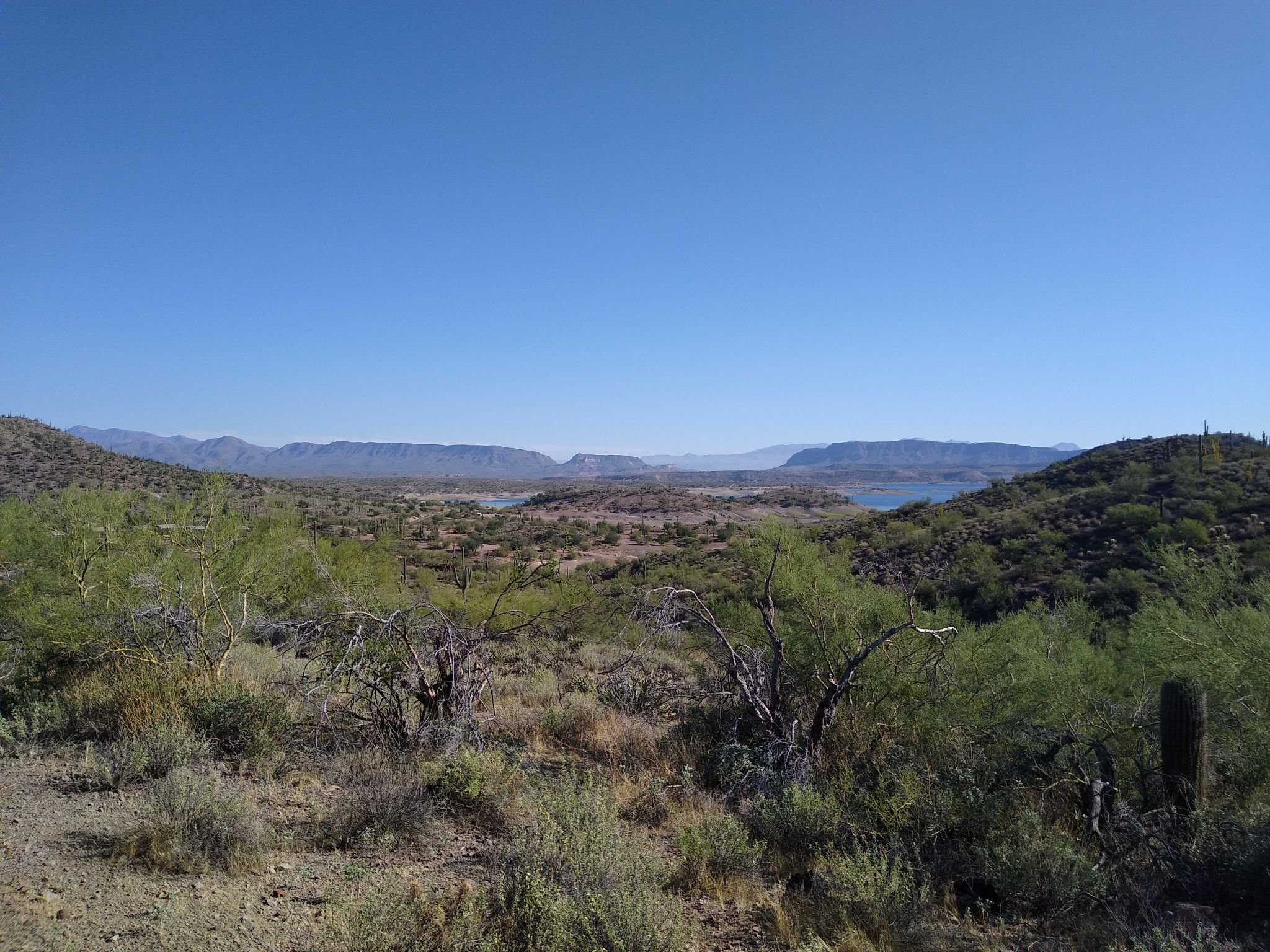 Arid desert landscape with sparse vegetation and a distant lake under clear sky. - Pipeline Canyon loop from Helm's Island