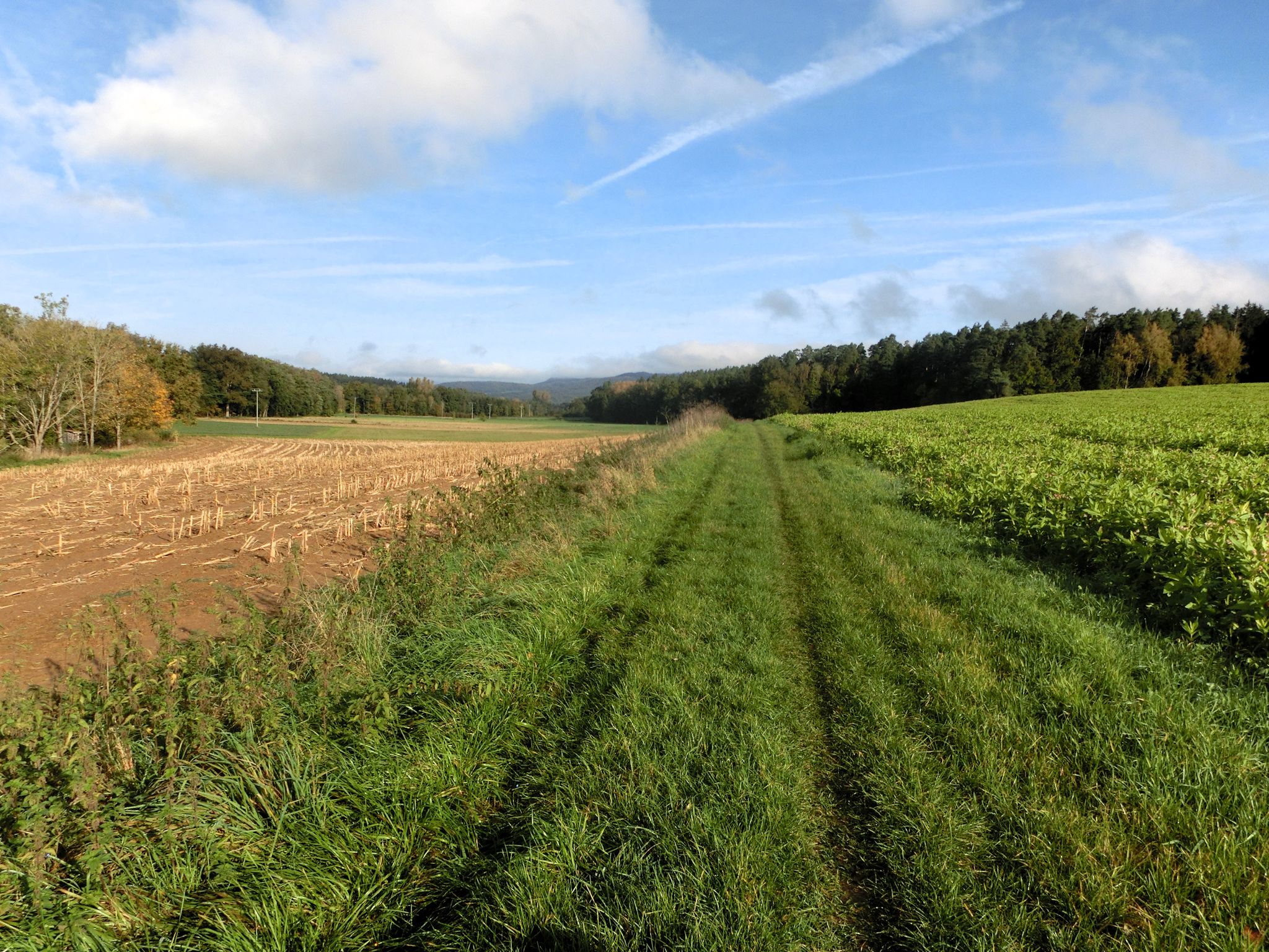 Mühlenweg Hammerbachtal