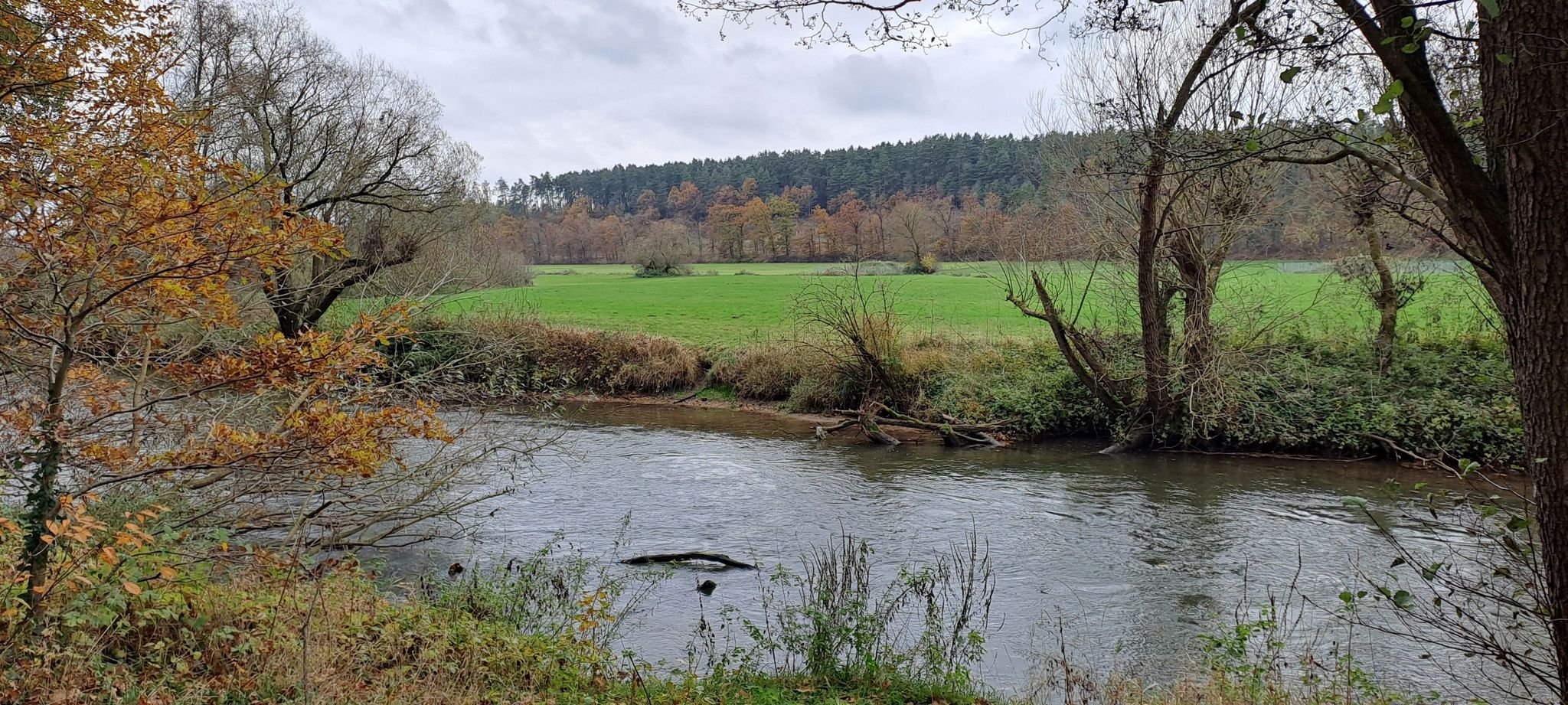 Rednitzgrund