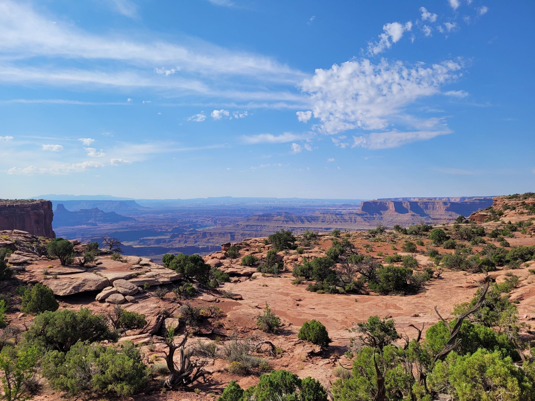 Desert landscape with sparse vegetation and distant canyons under a blue sky. - West-Rim Trail – Meander Overlook loop from Dead Horse Point