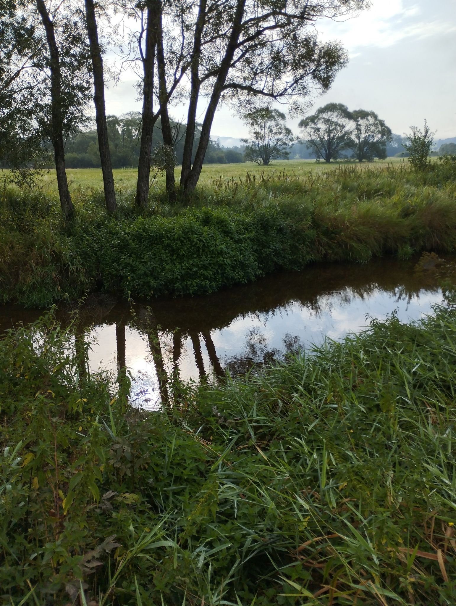 Maltsch Fluss