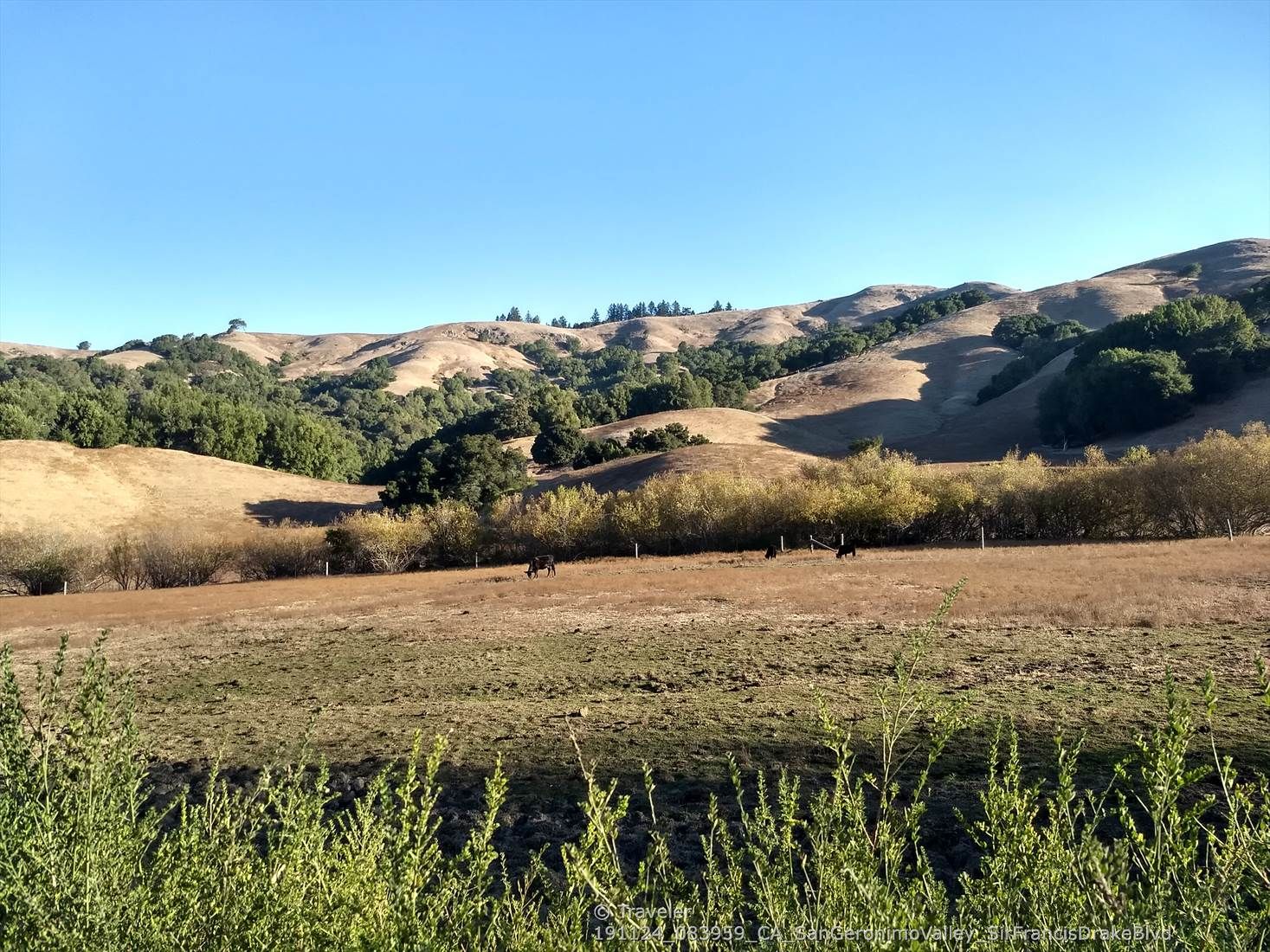 Golden-brown fields with rolling hills and scattered trees under a clear blue sky. - Alpine Dam – Alpine Lake loop from Sleepy Hollow