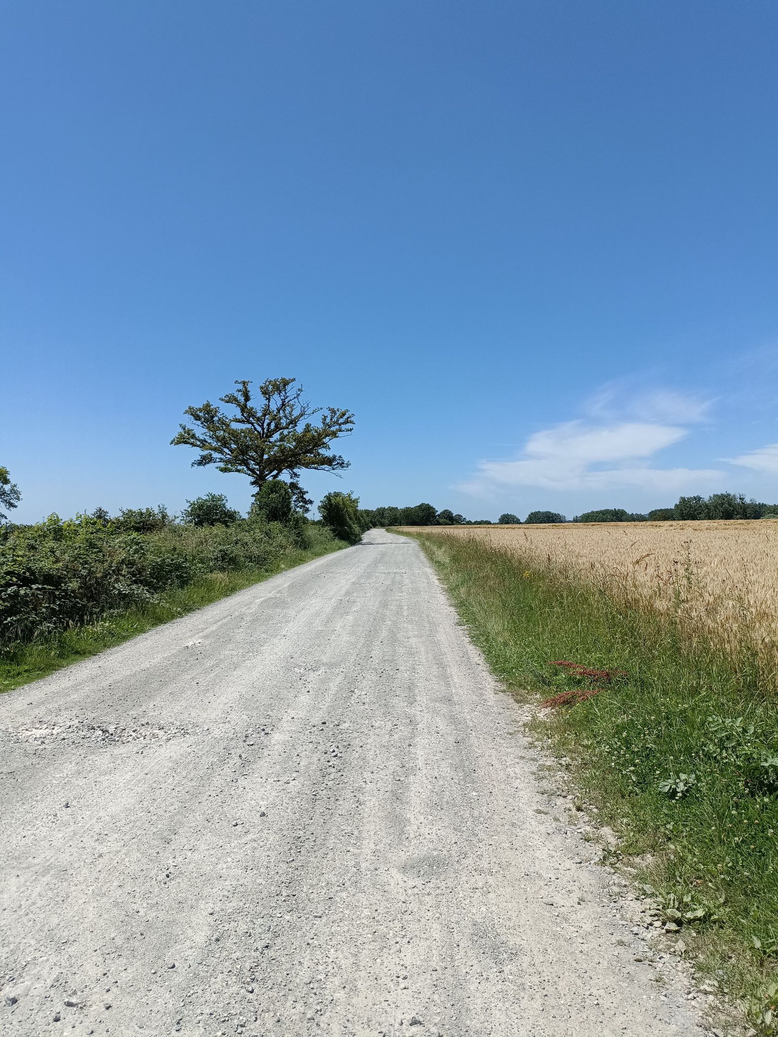 Route de César