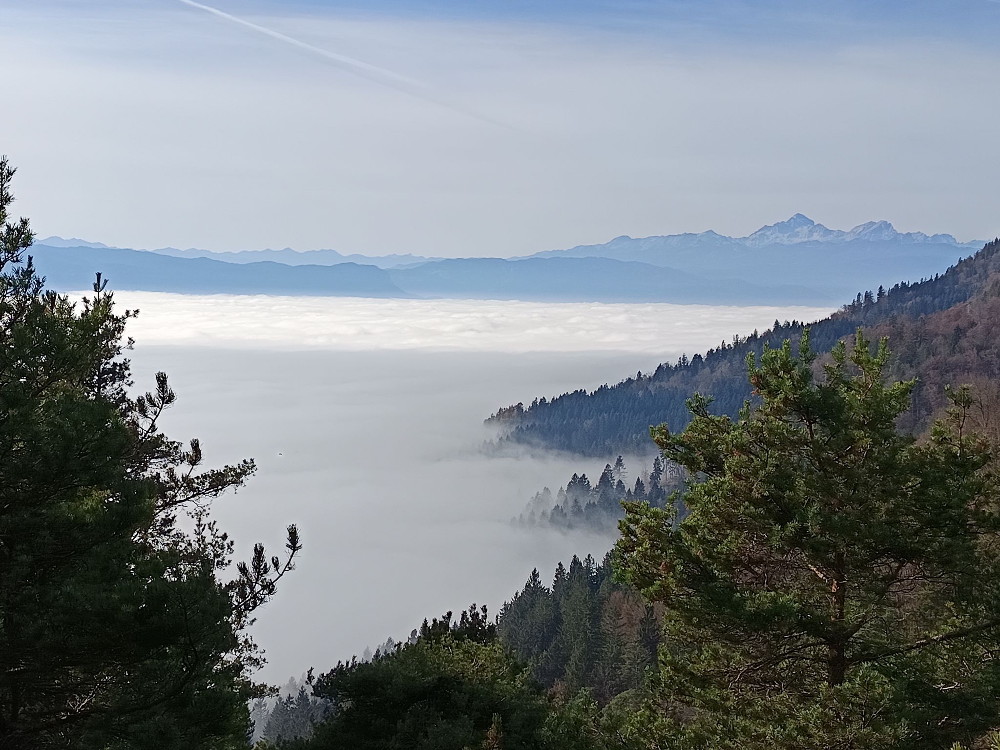 Mt Triglav above the "sea"