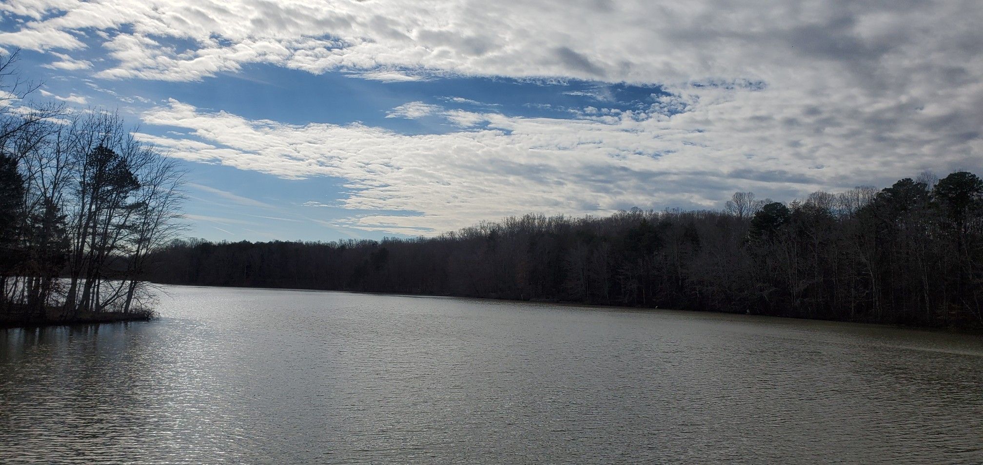 Wide lake with bare trees lining the banks under a cloudy sky. - Lake Brandt – Greensboro Country Park loop from Guilford Courthouse National Military Park