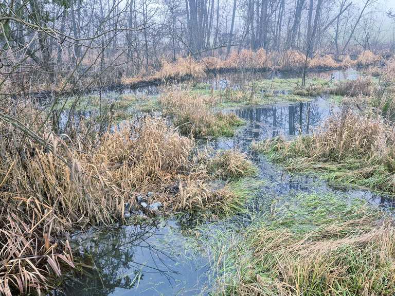 Geotop-Route Niederbayern #64: Von Preying nach Garham > 157. Geotop ...
