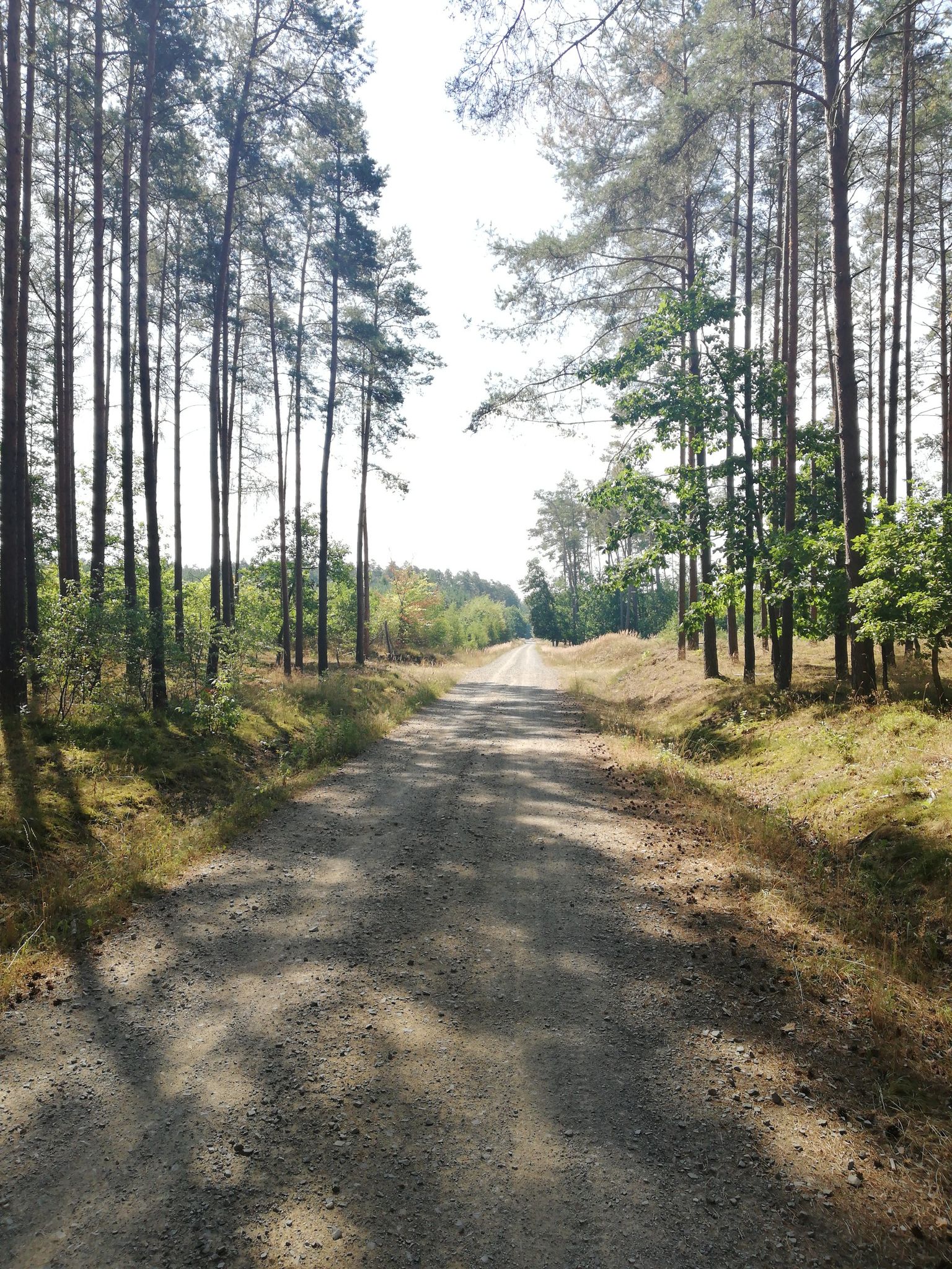 gravel path