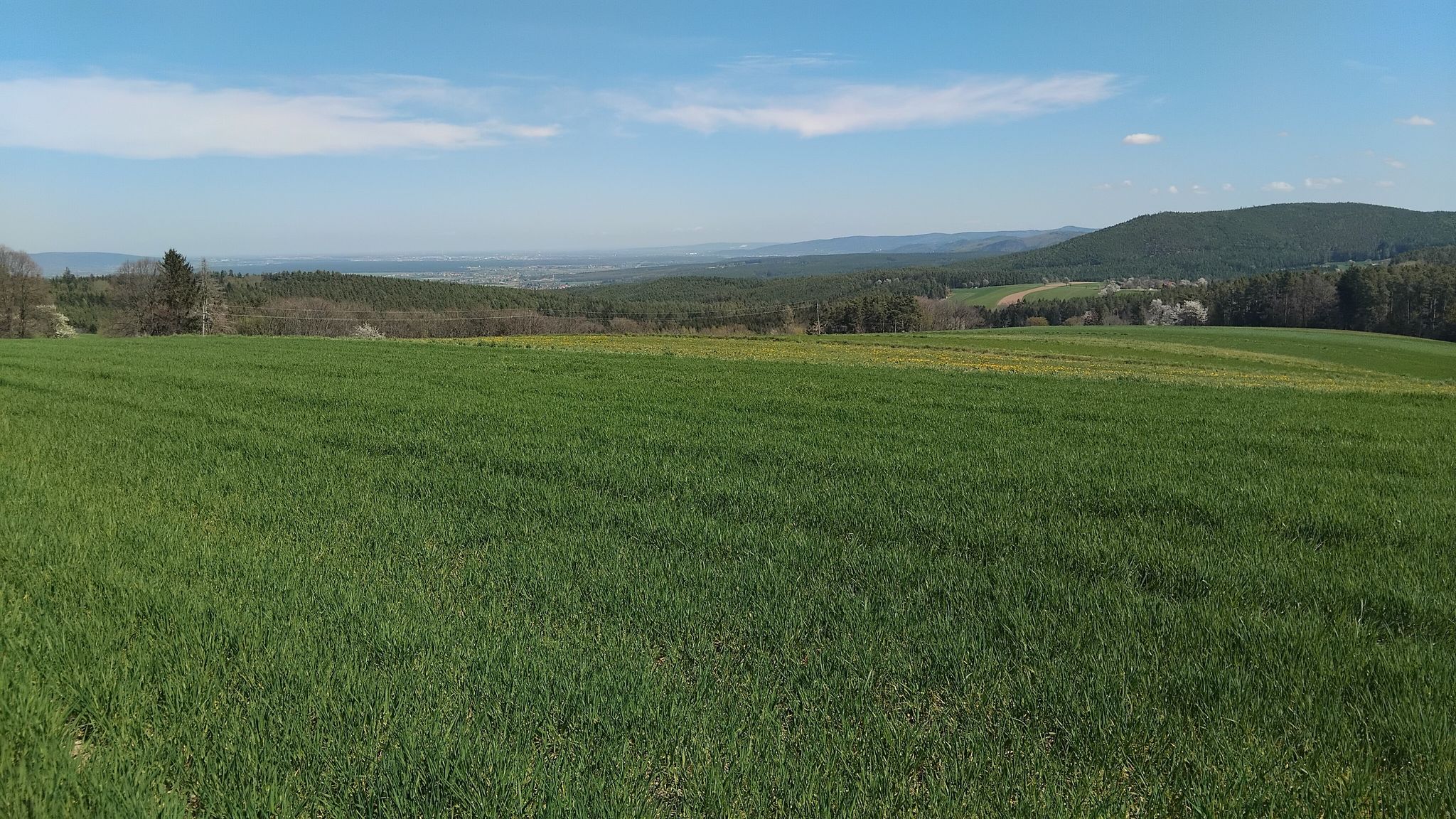 Blick auf Wr. Neustadt.