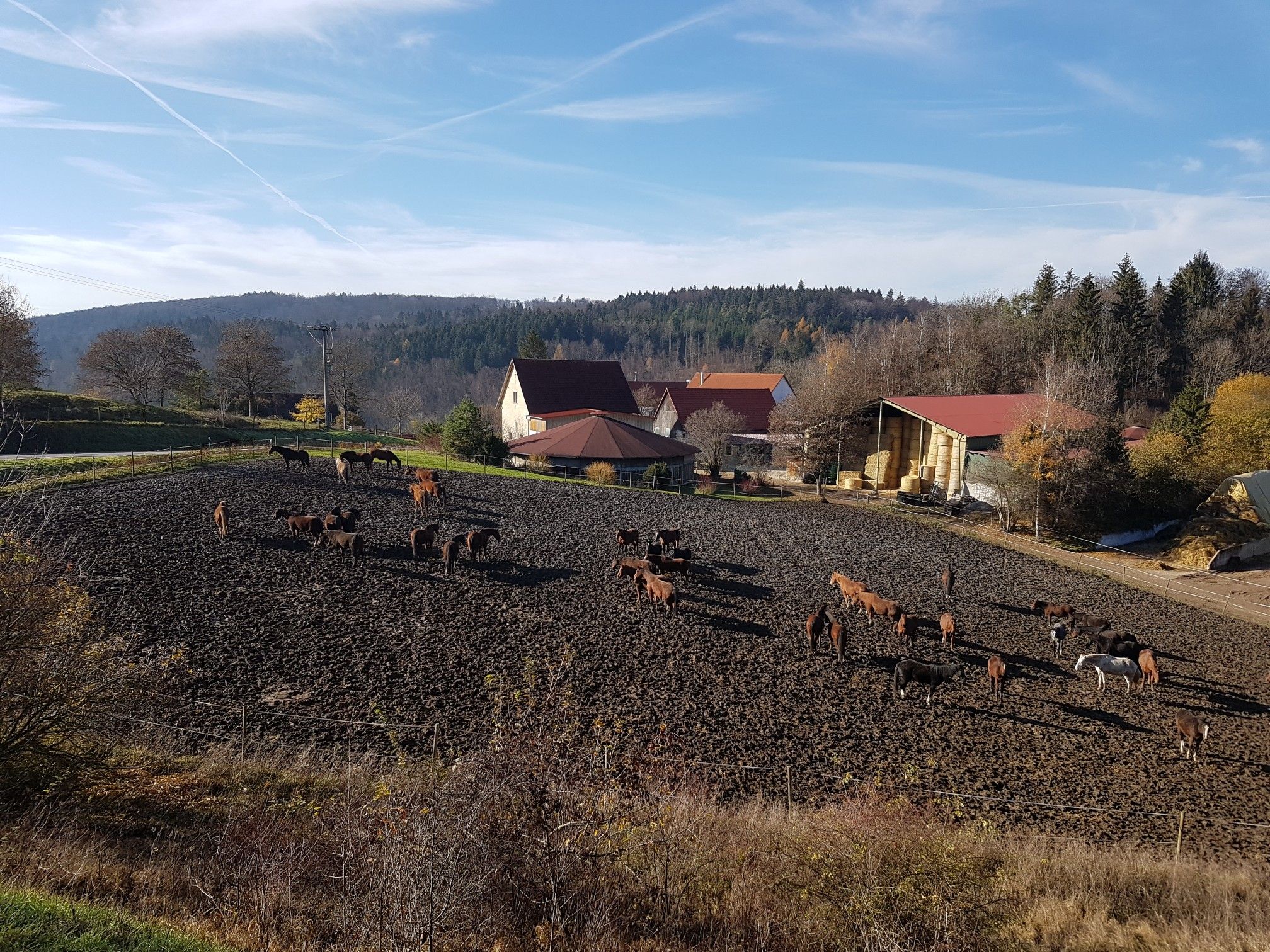 Wasserburger Hof