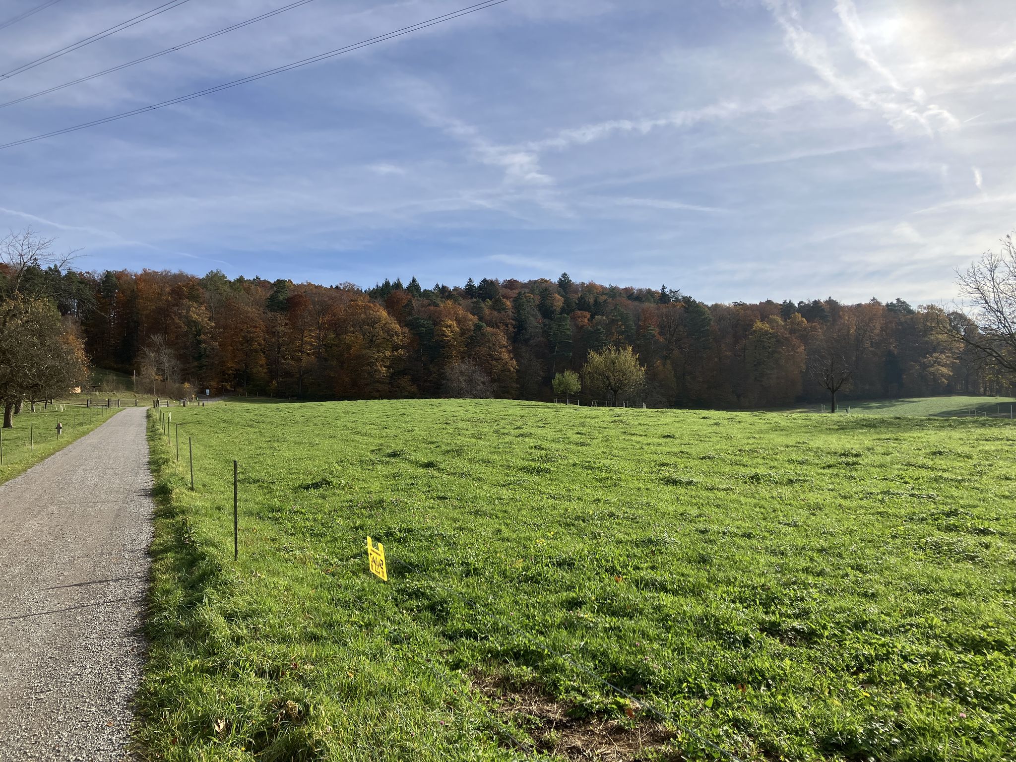 Kurz nach dem Start bei Vorderhüttikerberg.