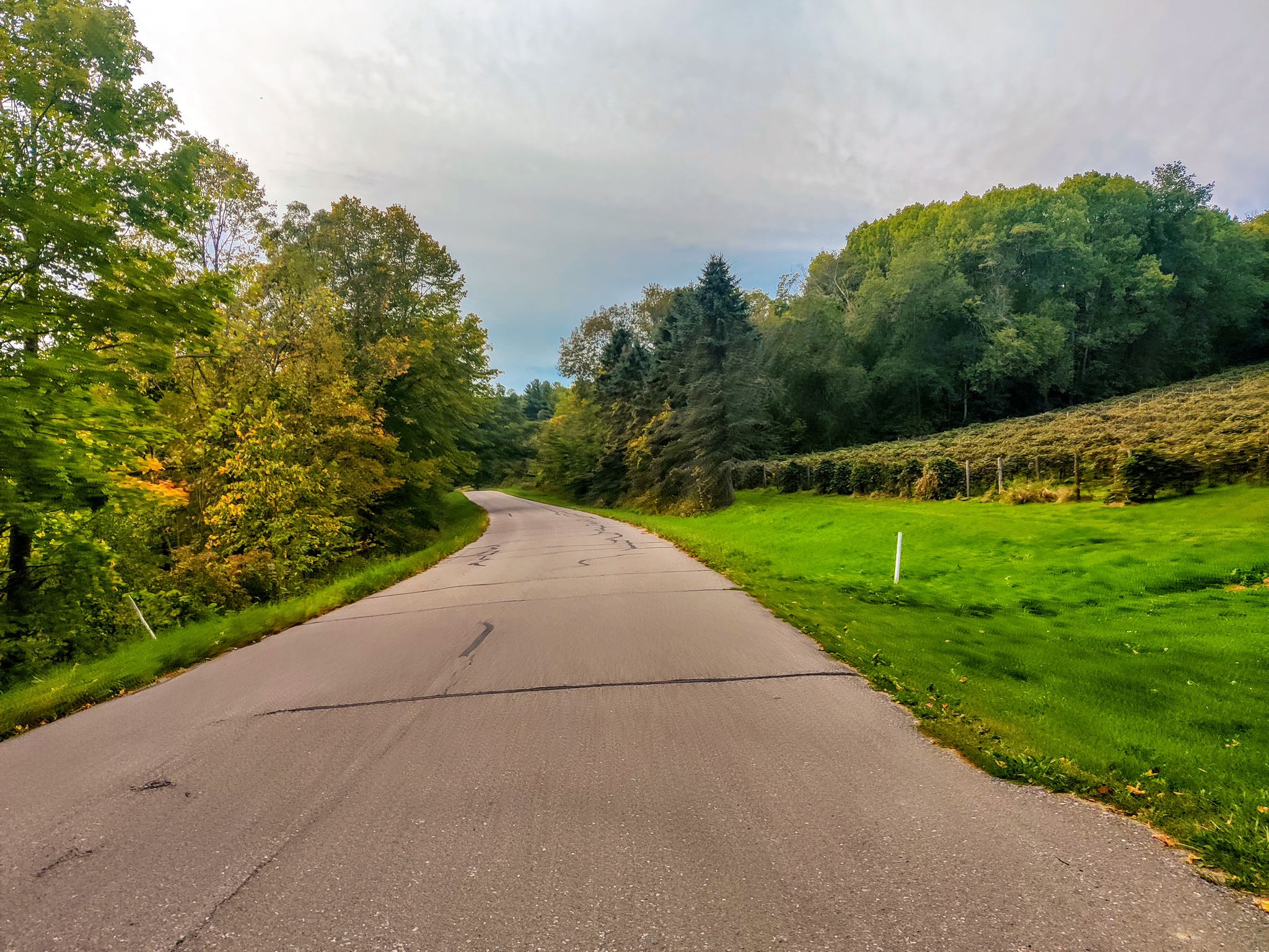 A winding road through green fields and trees under a bright, cloudy sky. - Roznos Meadow Trailhead loop from Devil's Lake State Park