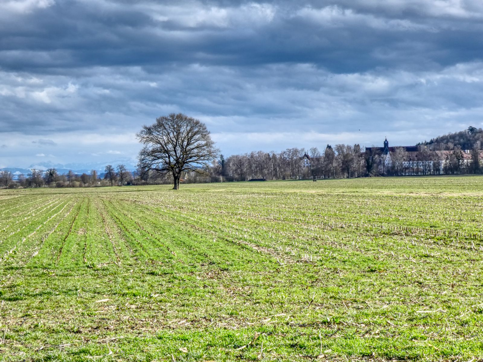 Im Salemertal: Blick nach Süden in Richtung Kloster und Schloss